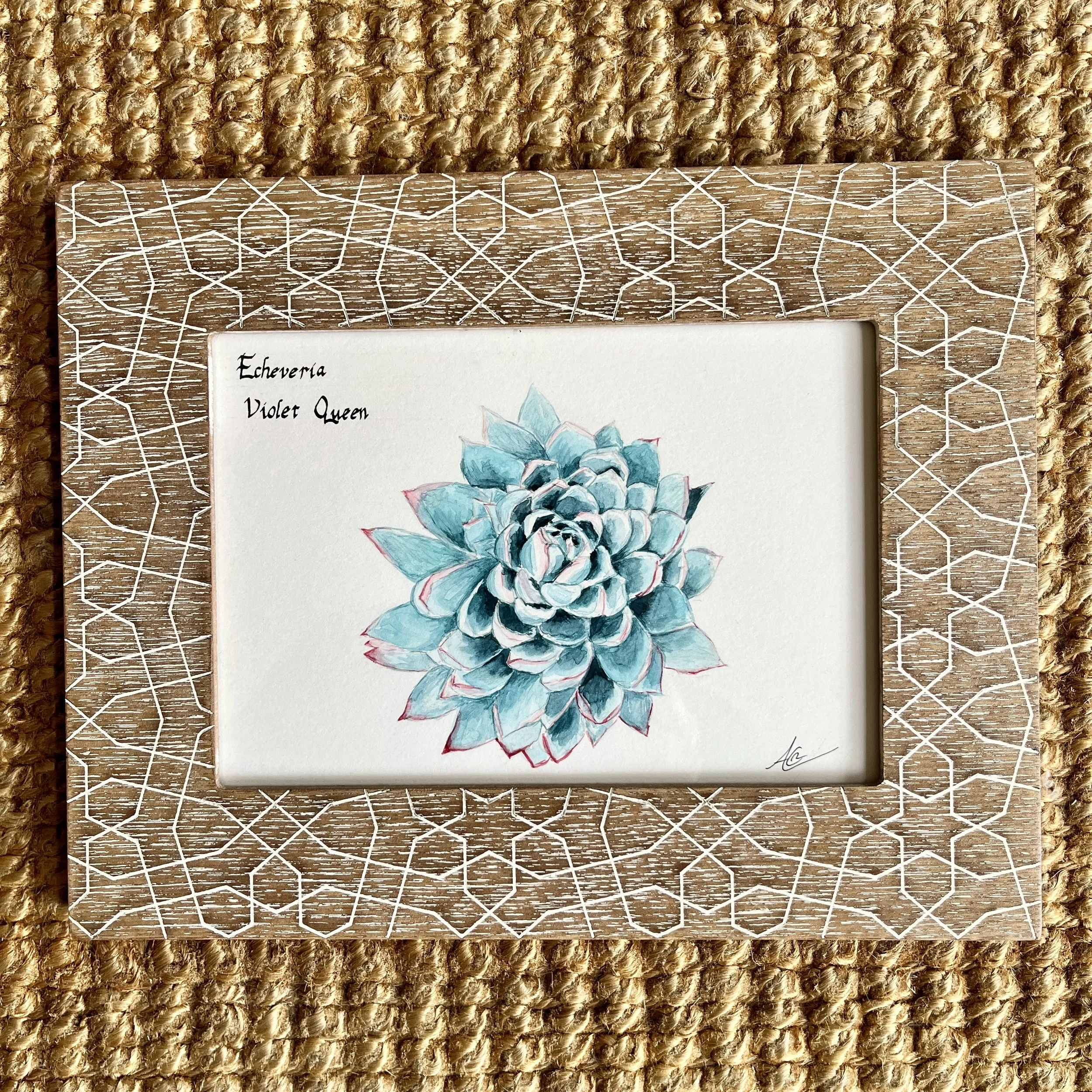 Original Watercolor Painting (Framed): Echeveria