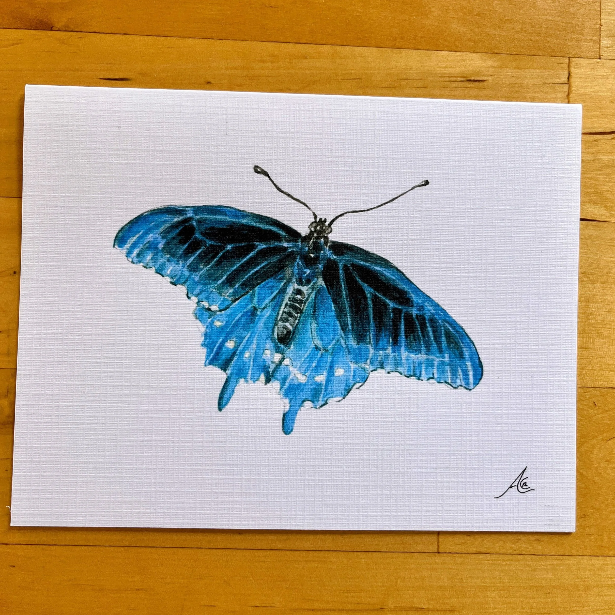 Butterflies Collection: Greeting Cards From Watercolors, California Pipevine Swallowtail