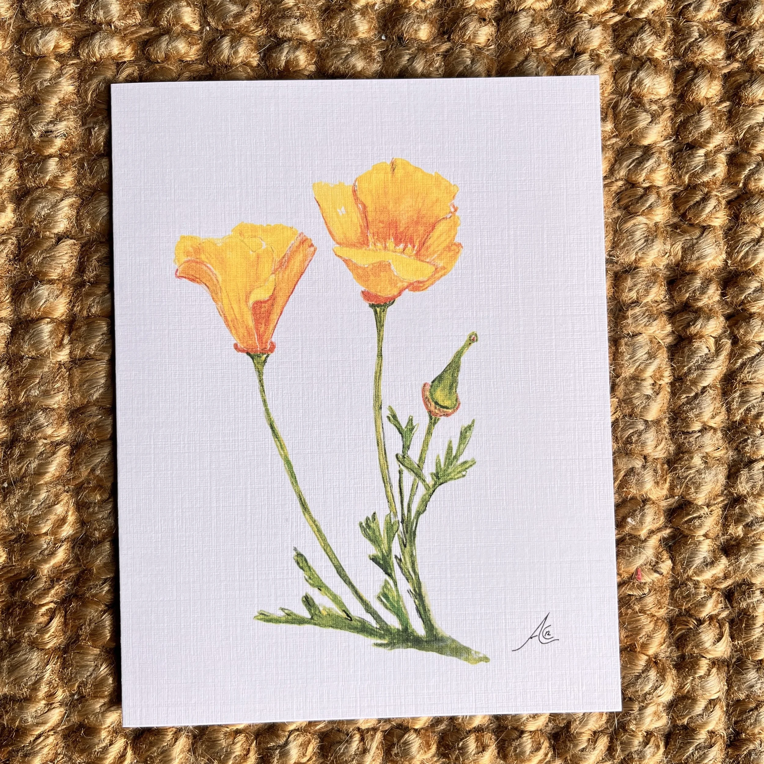 Greeting Cards: California Native Plants California Poppy