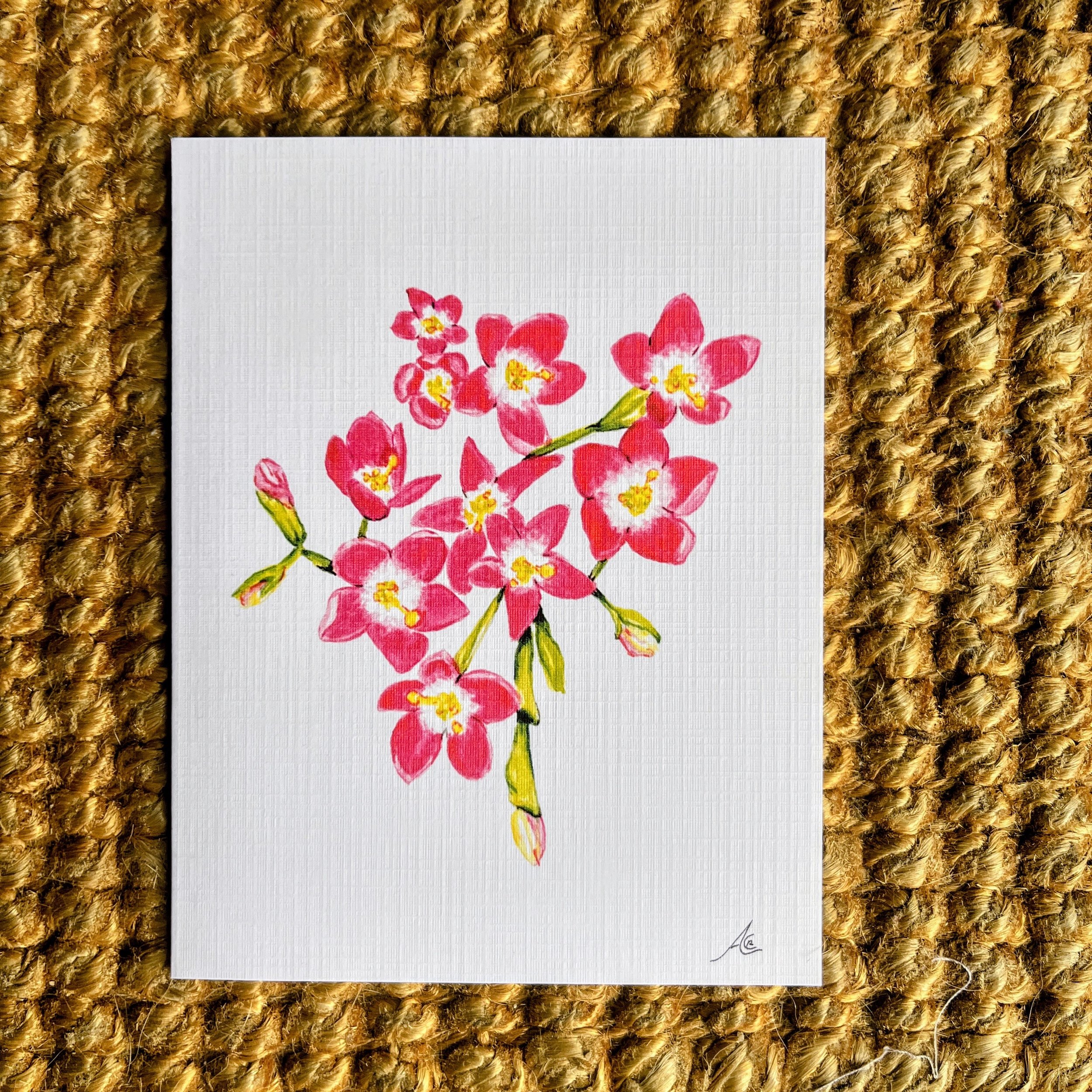 California Native Plants: Greeting Cards From Watercolors, Charming Centaury (Zeltnera venusta)