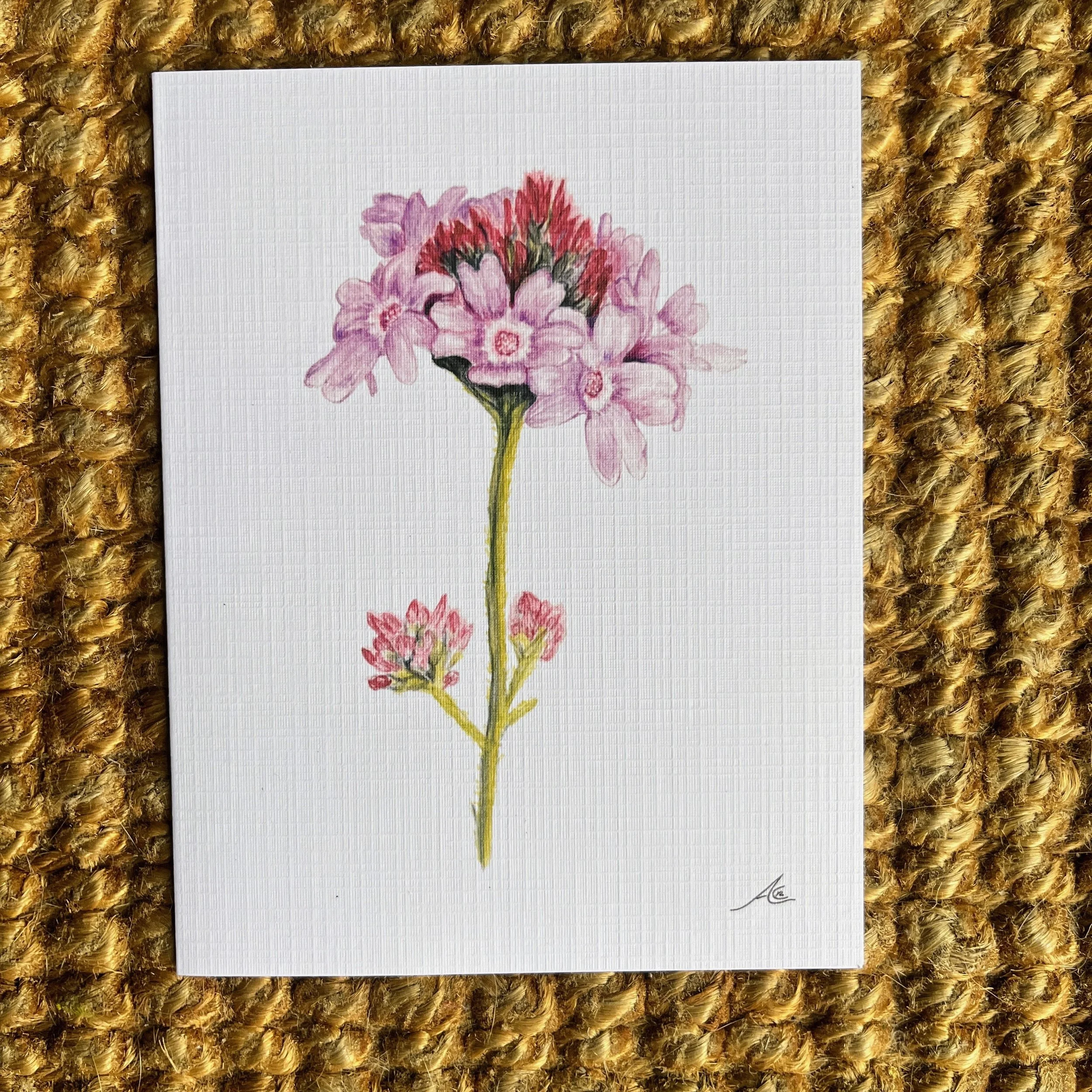 California Native Plants: Greeting Cards From Watercolors, Verbena de la Mina