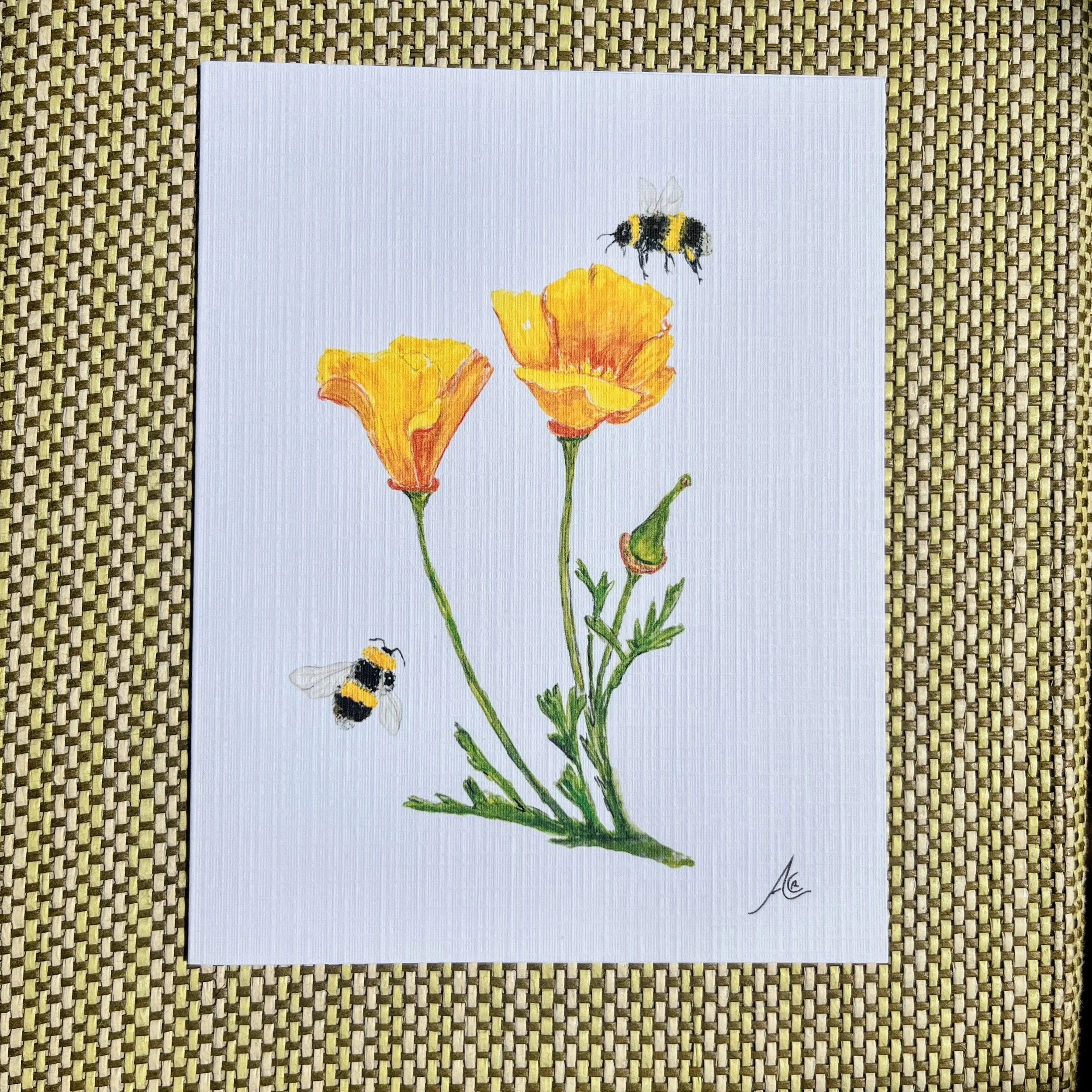 Pollinators Collection: Greeting Cards From Watercolors, California Poppy and Bumblebees
