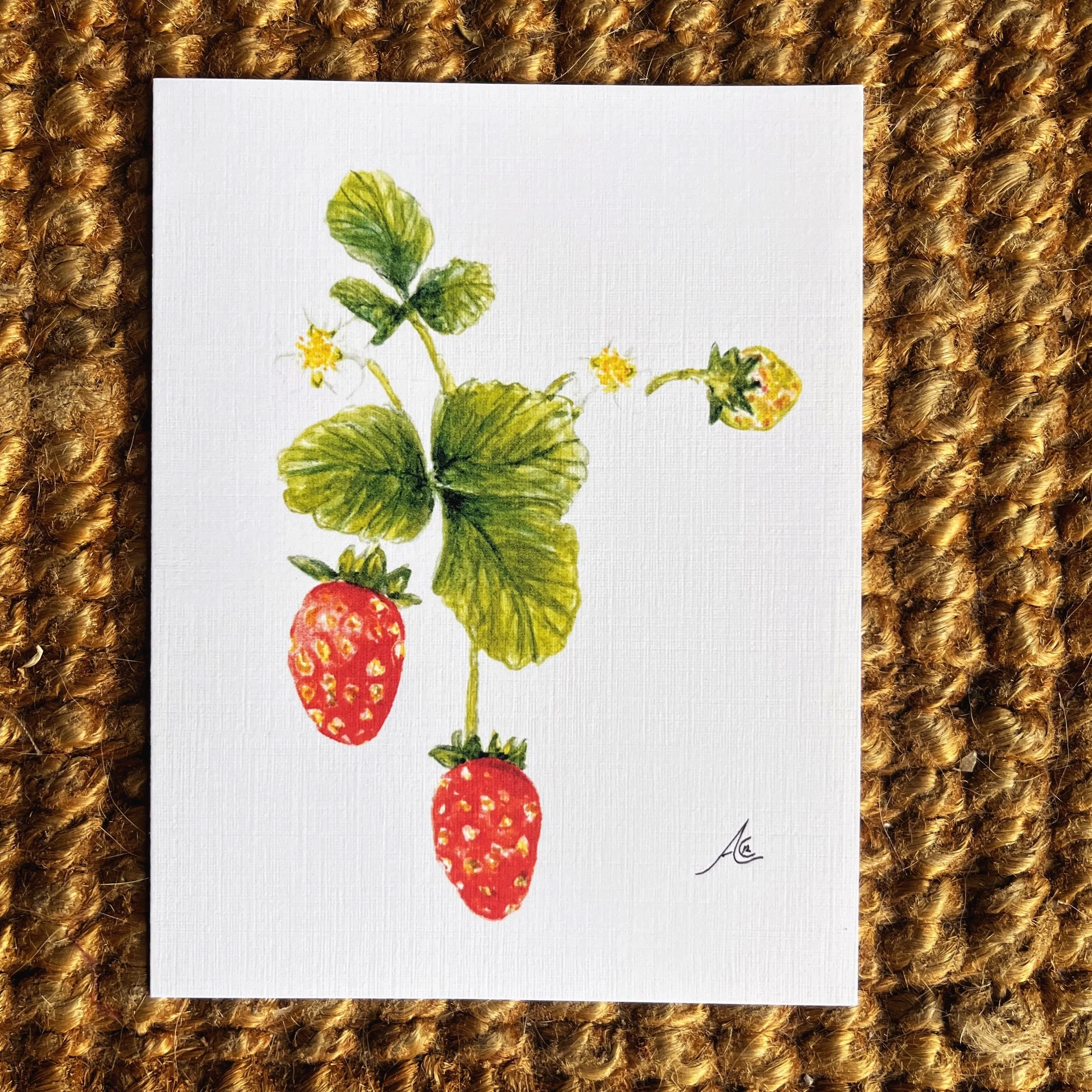 Botanical Strawberries Greeting Card from Watercolor 2
