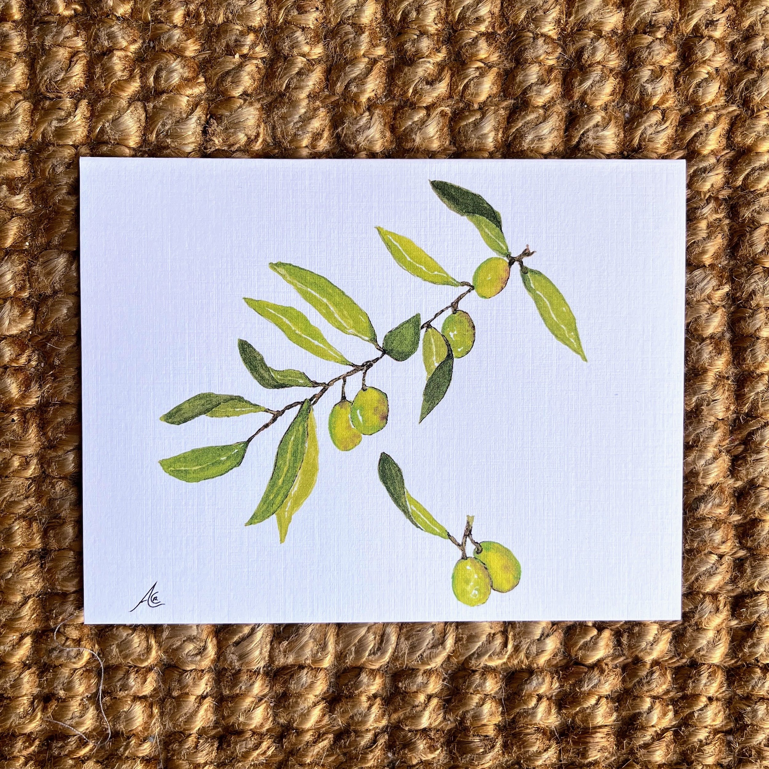 Greeting Card From Realistic Watercolor: Olive Branch and Olive