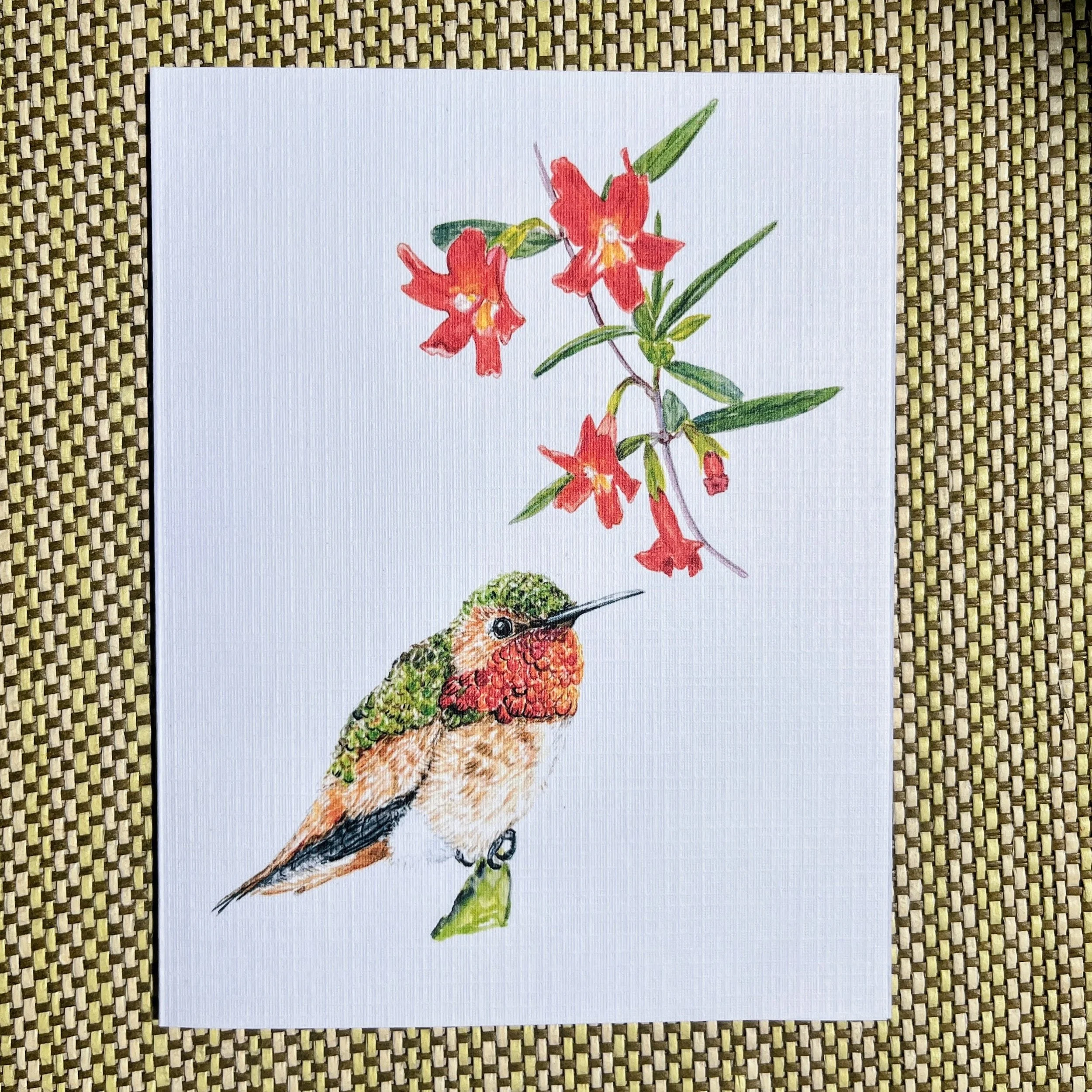 Pollinators Collection Greeting Card: Red Bush Monkeyflower and Allen's Hummingbird