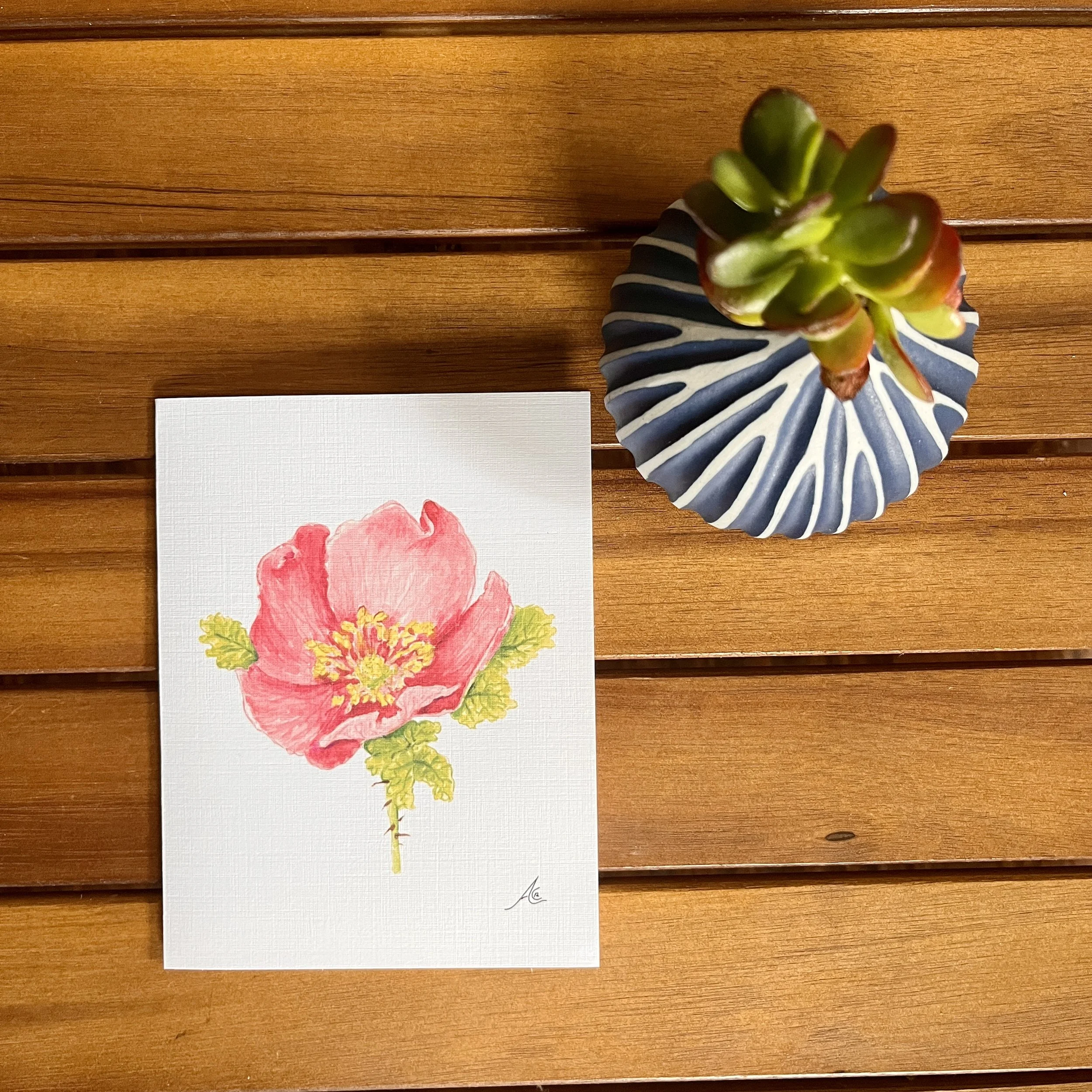 Greeting Cards: California Native Plants Small Leaved Rose