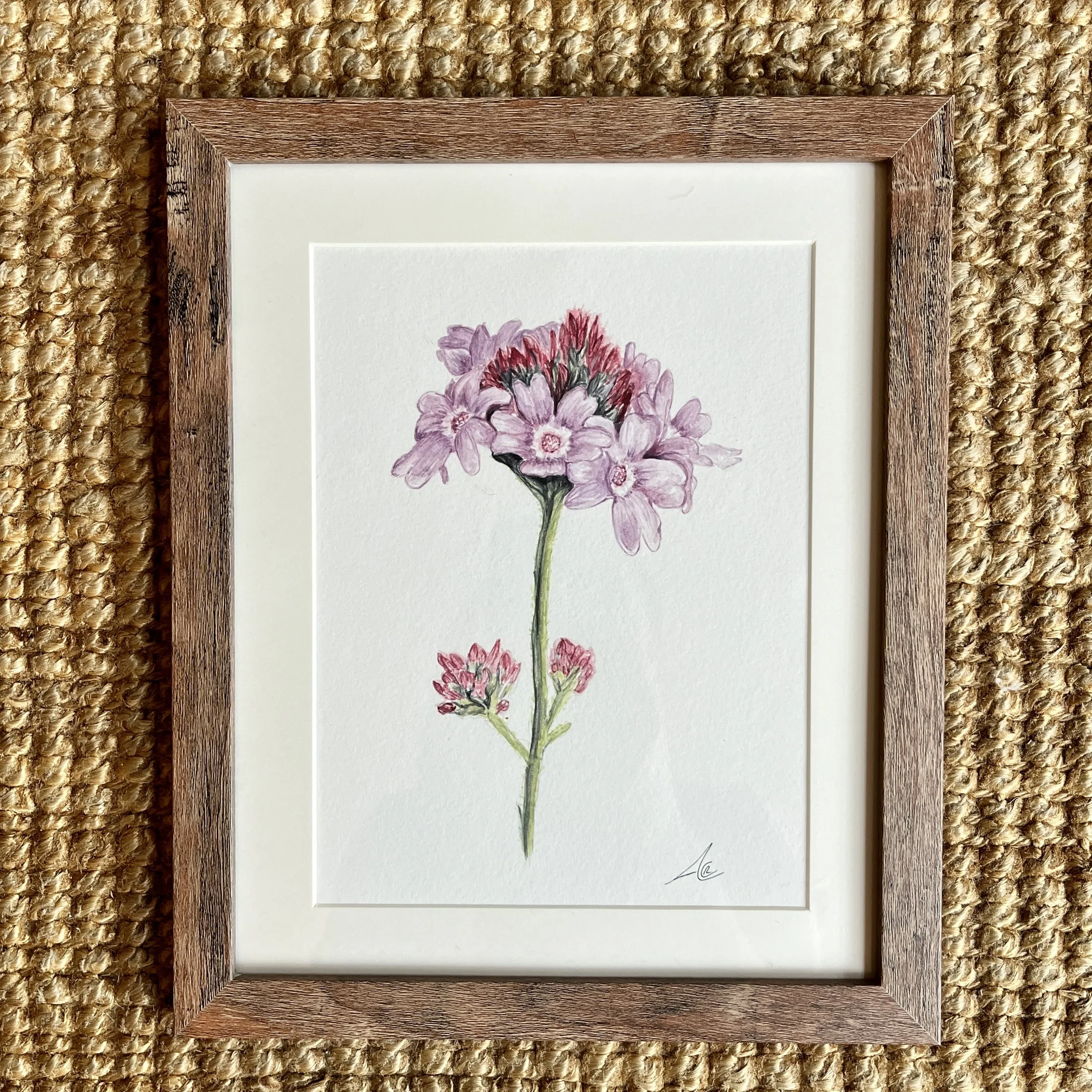 Original Watercolor Painting: De La Mina Verbena