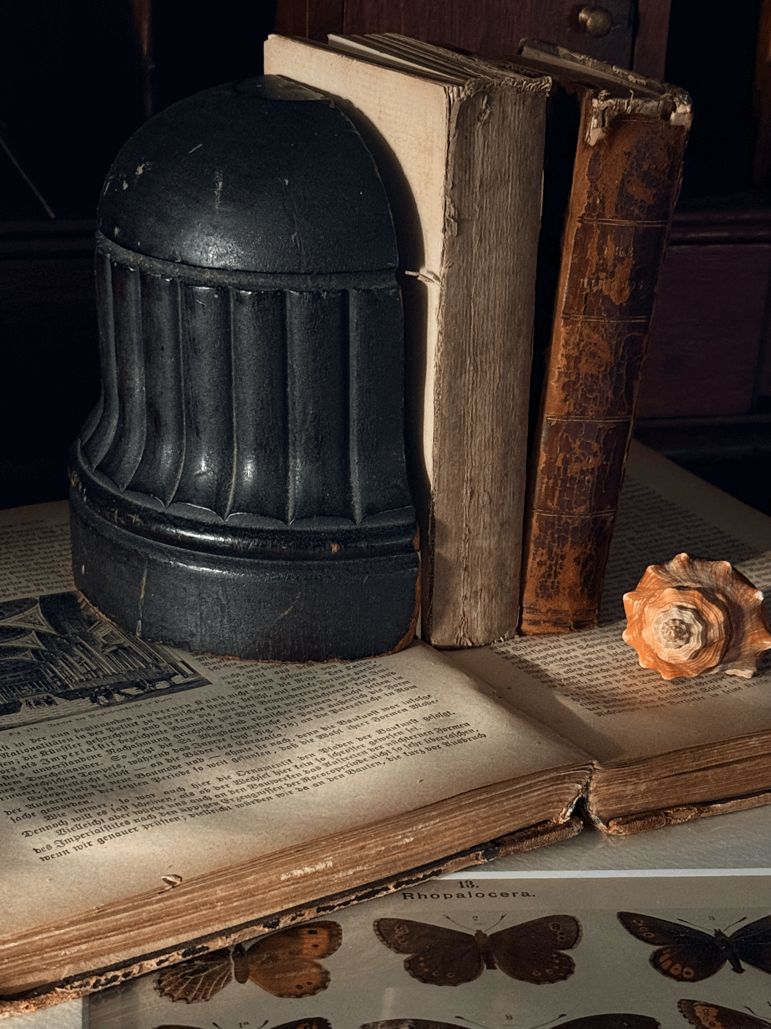 tempImageiT2wgO.gif