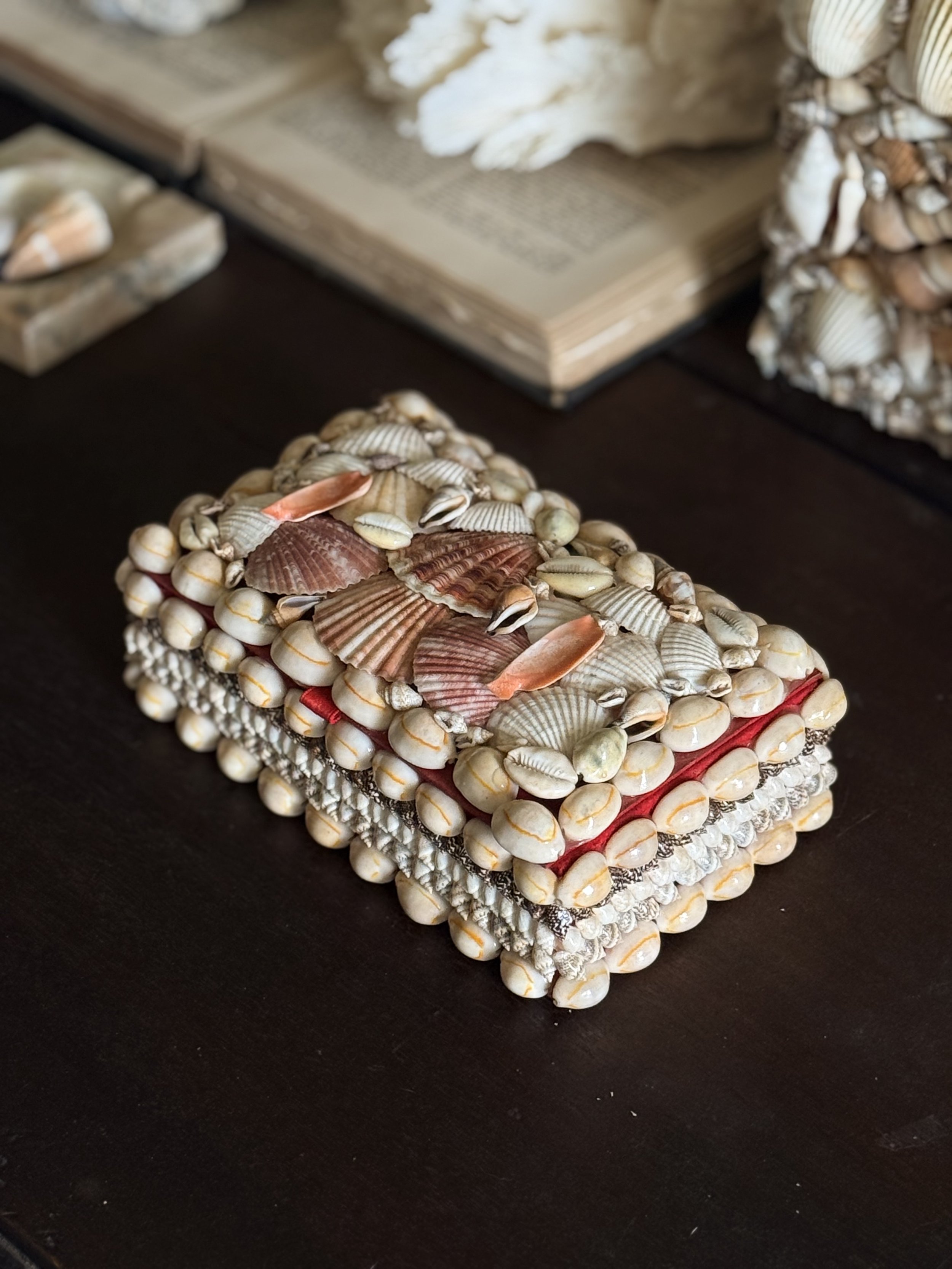 Medium size shell box