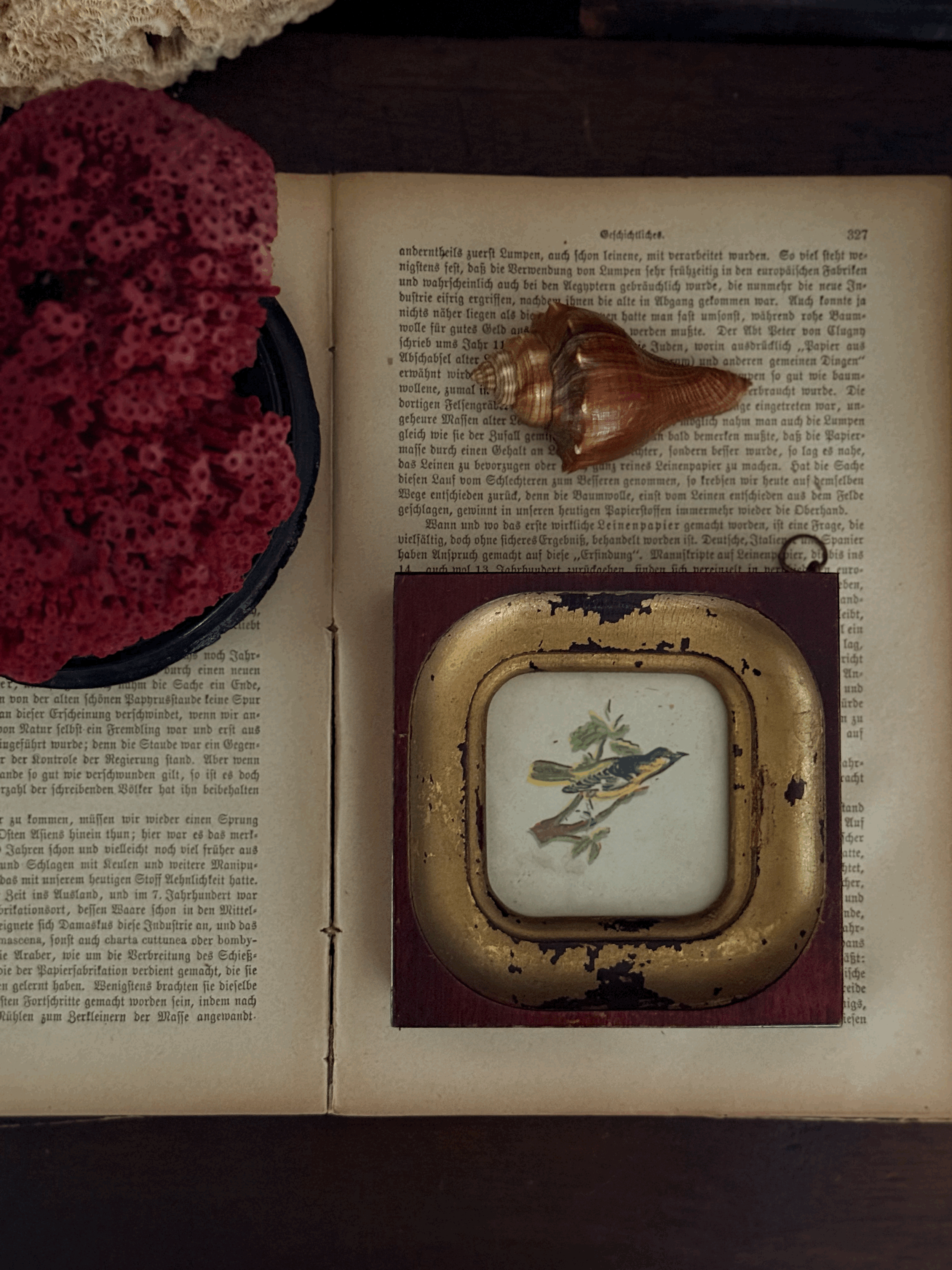 Vintage petite bird framed