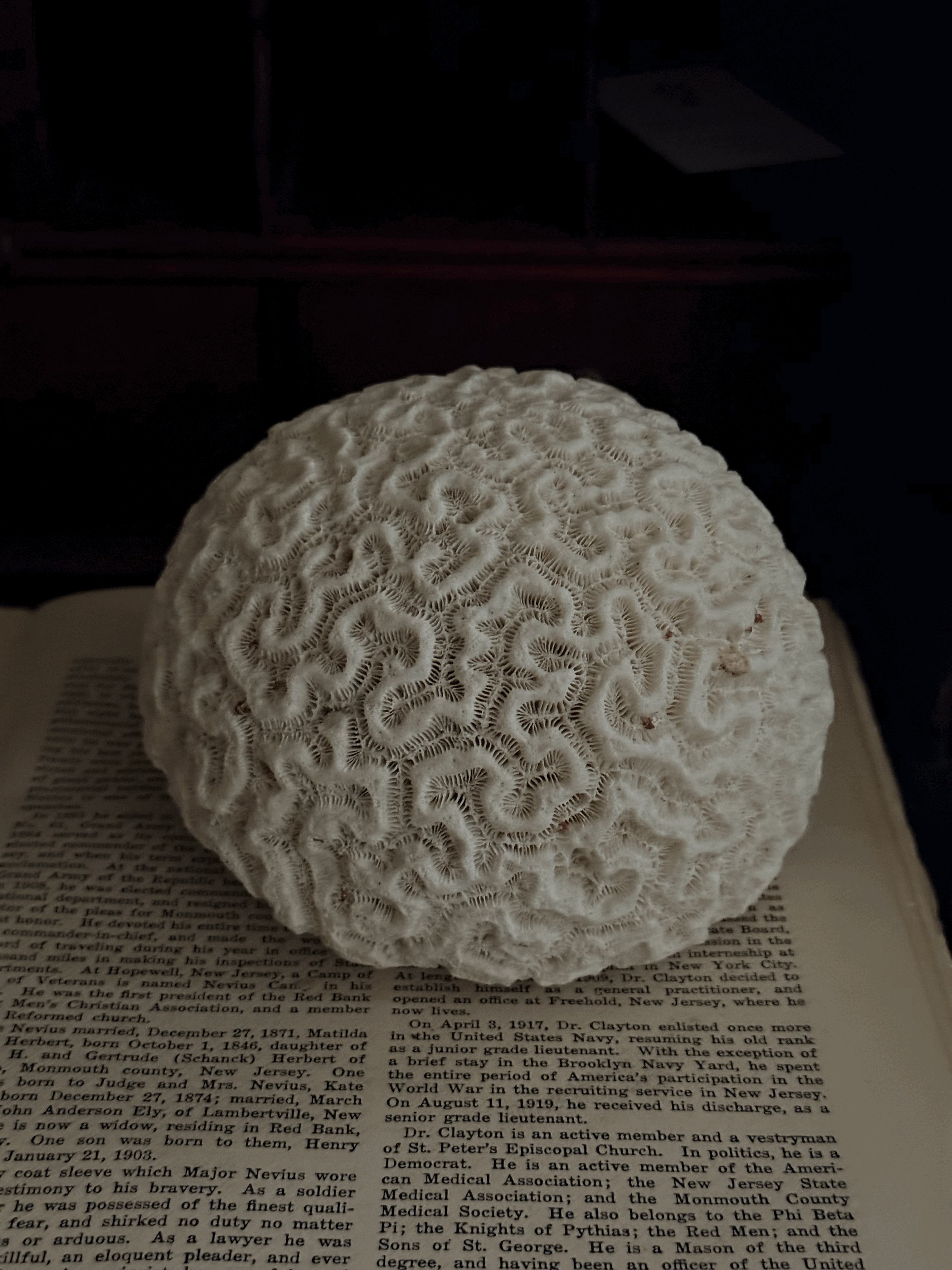tempImageexdYg3.gif