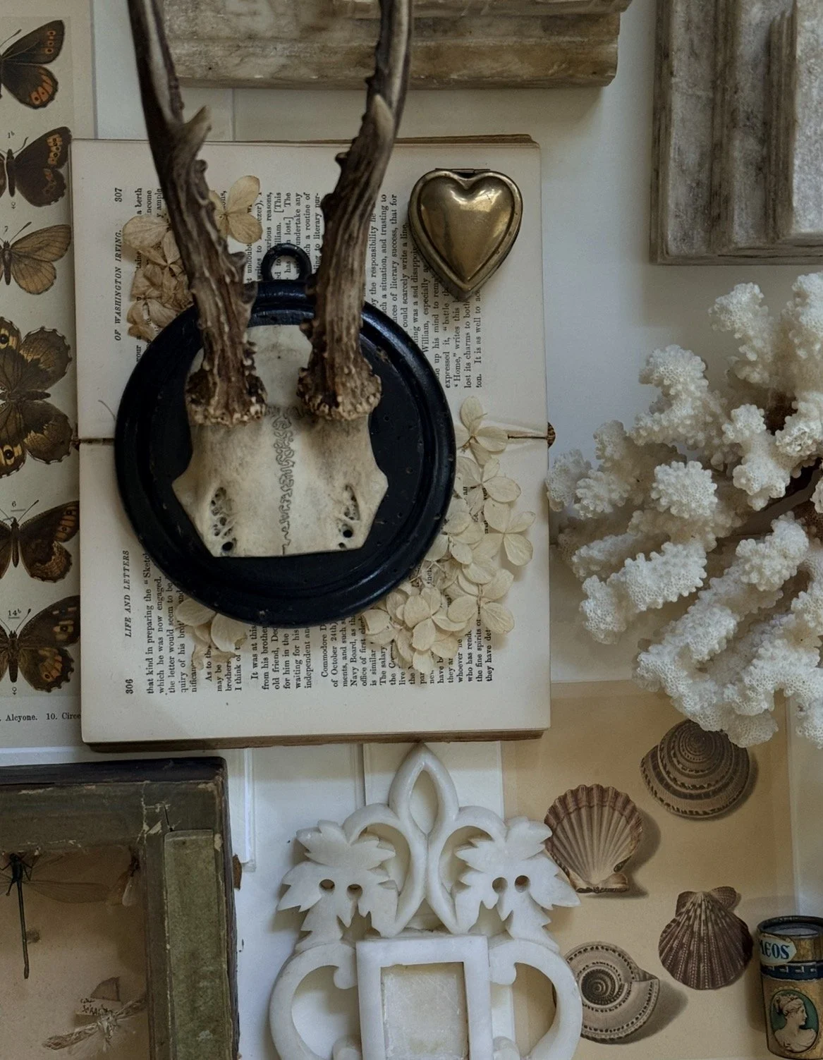Antique Roe Deer Antler