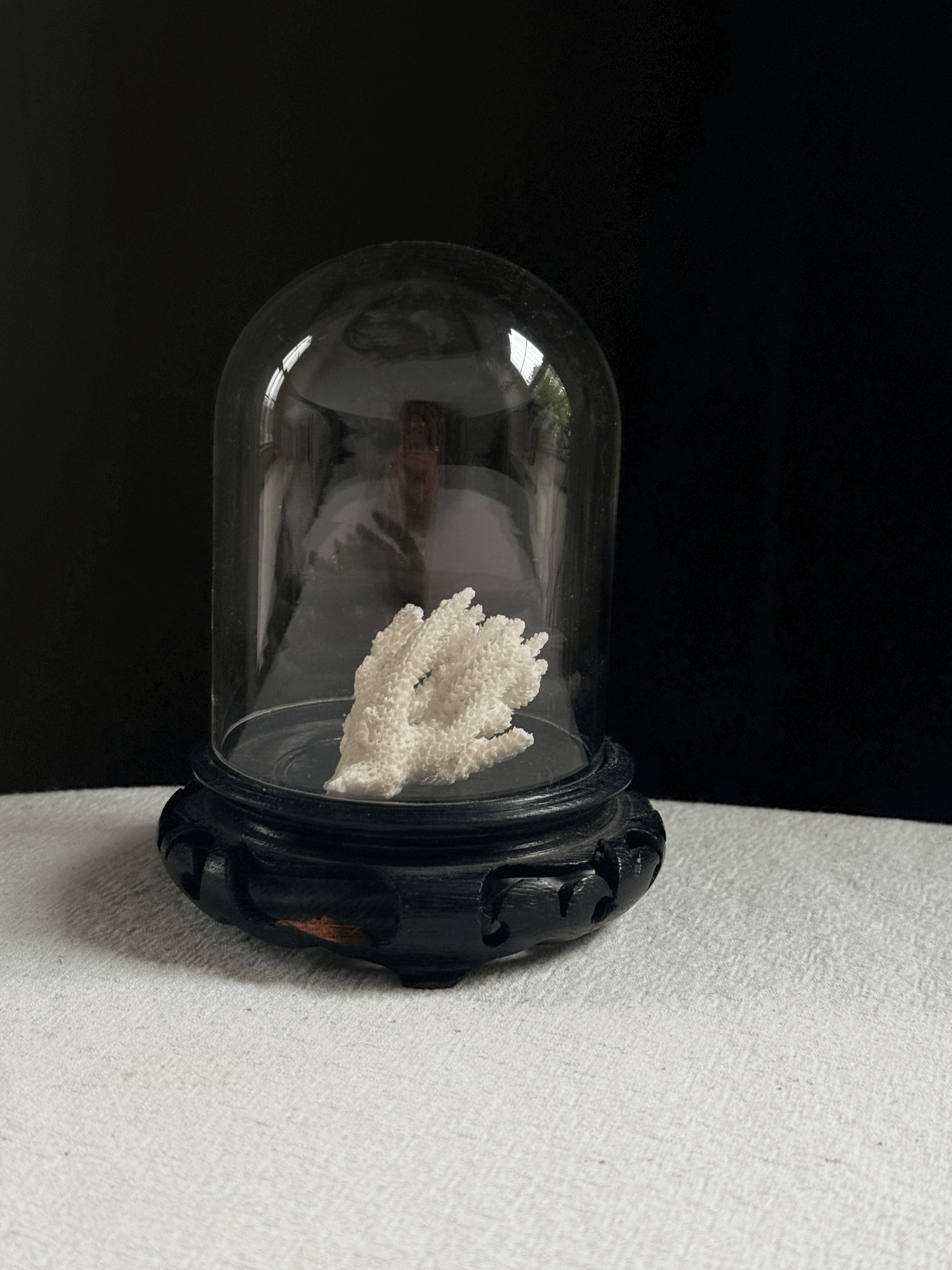 tempImage7CuSRx.gif