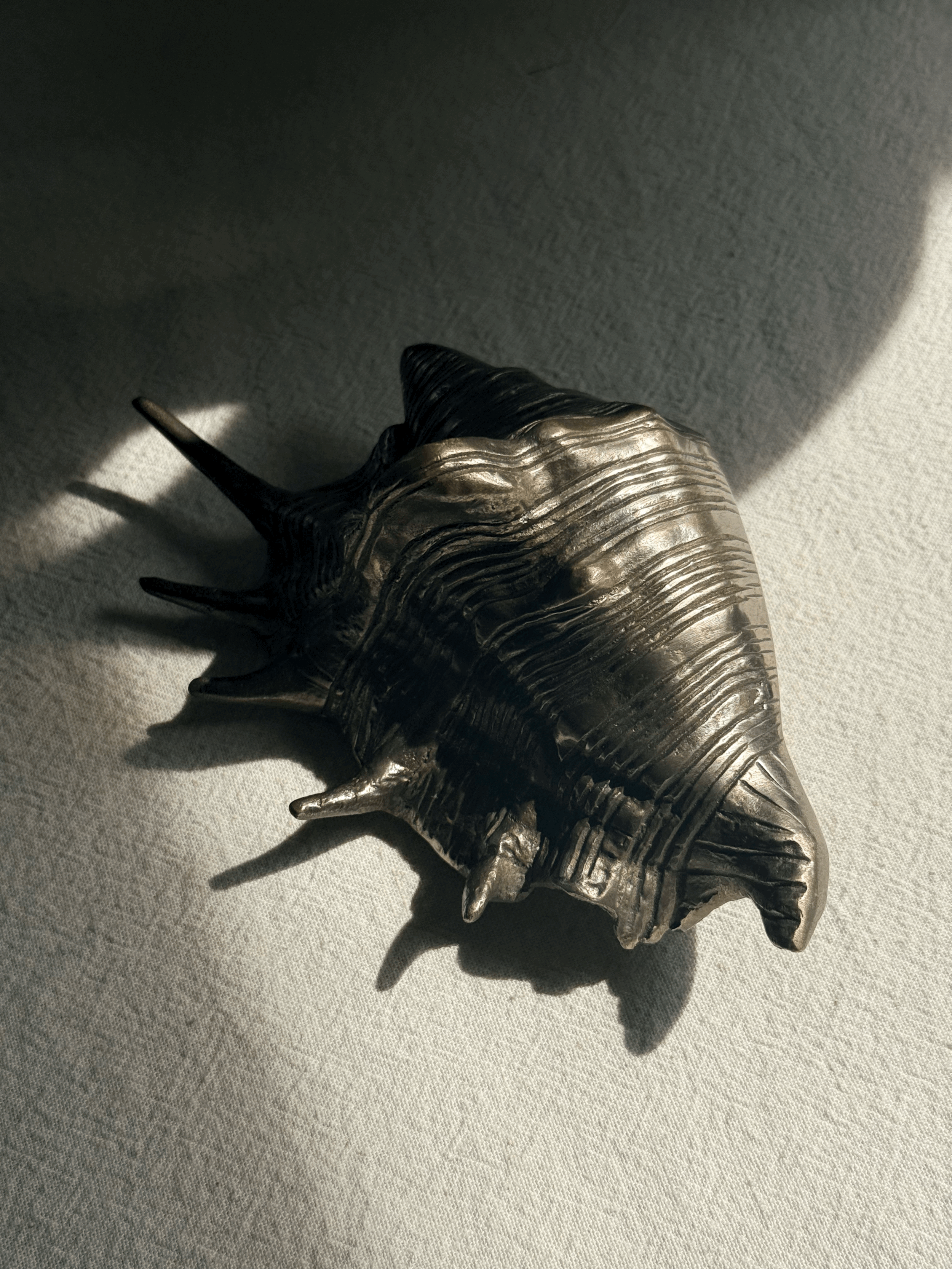 tempImagexTzcub.gif