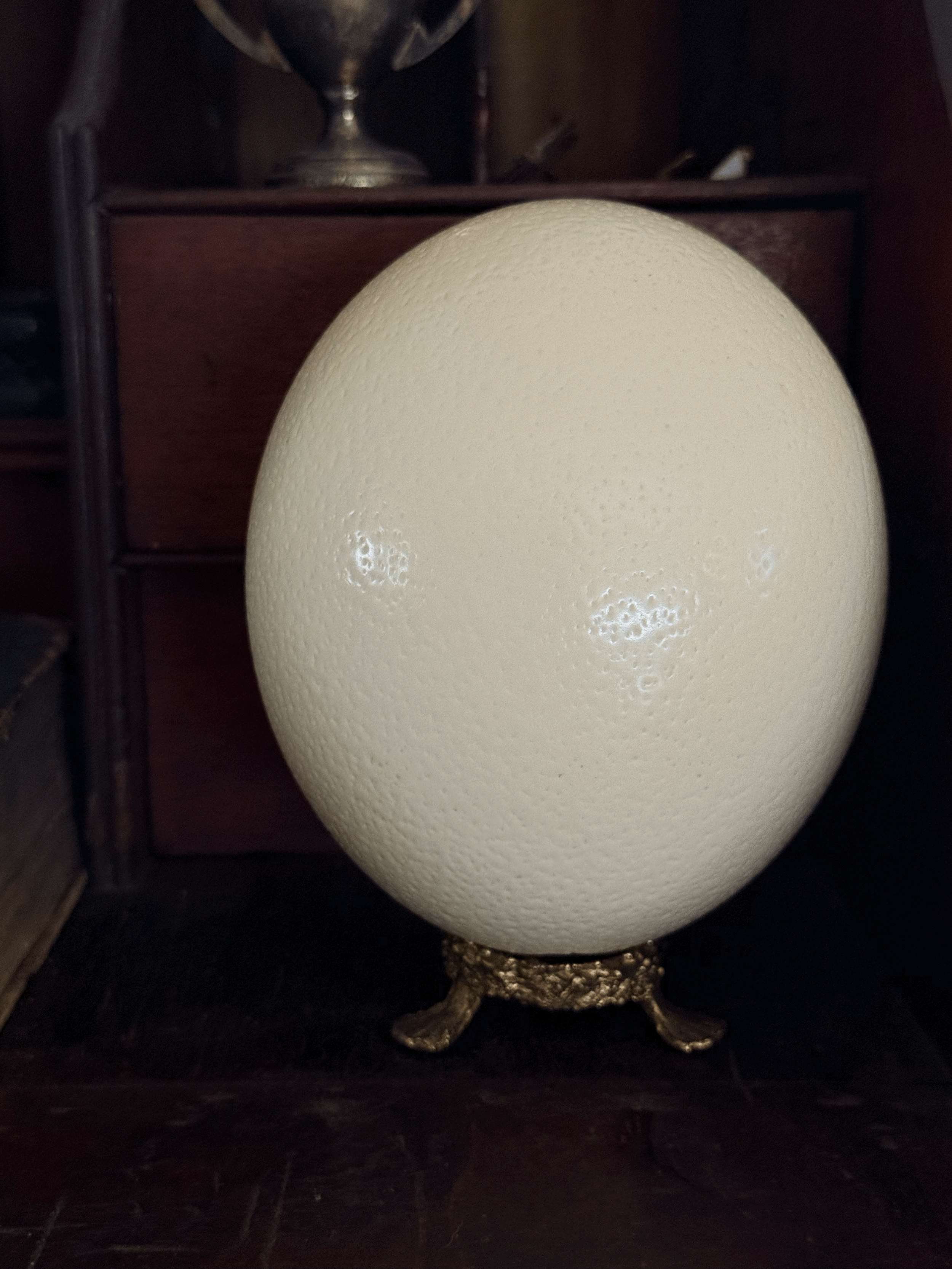 Ostrich Egg, egg only no stand.