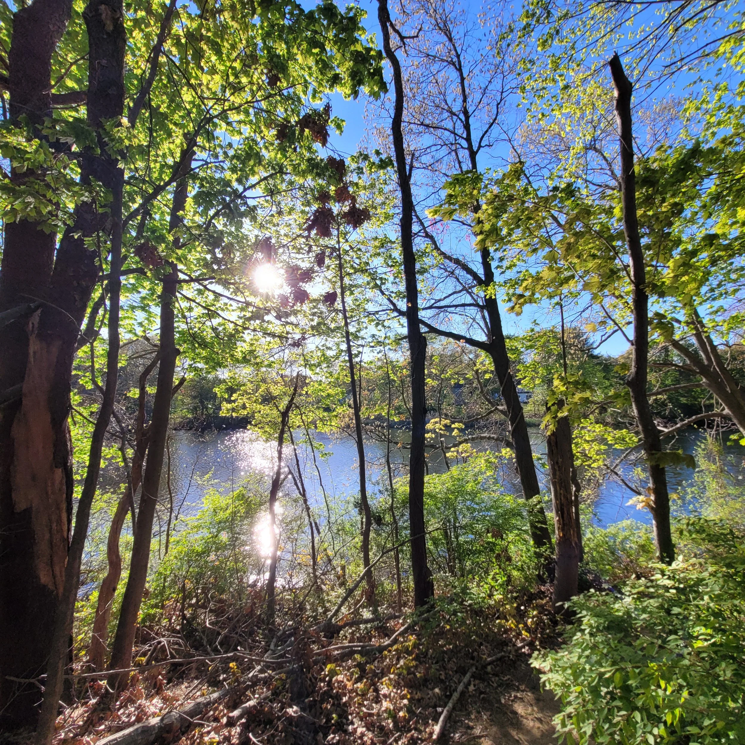 Willett Avenue Pond, East Providence, RI — Parks In My Town