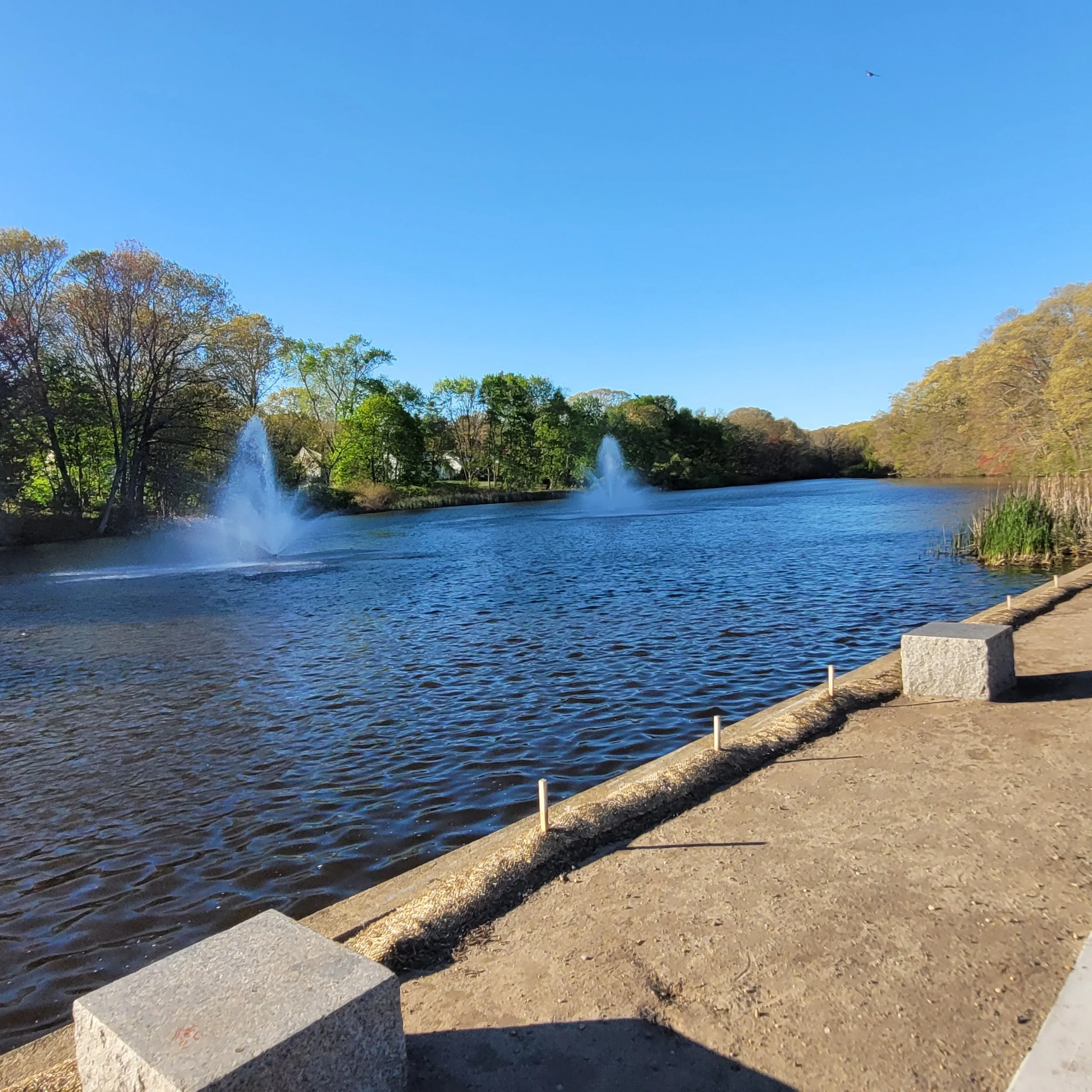 Willett Avenue Pond, East Providence, RI — Parks In My Town