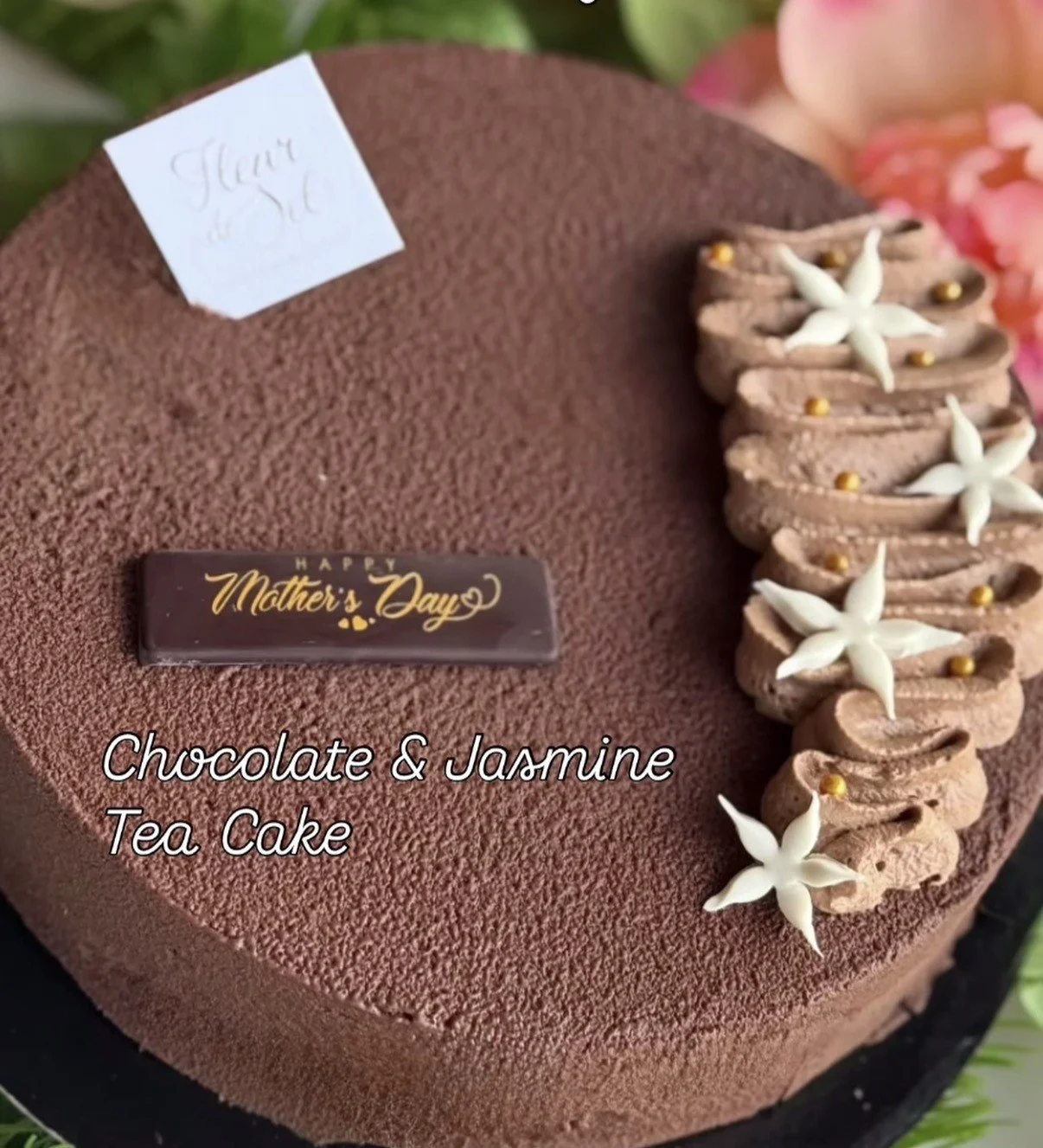 chocolate jasmine 1.jfif