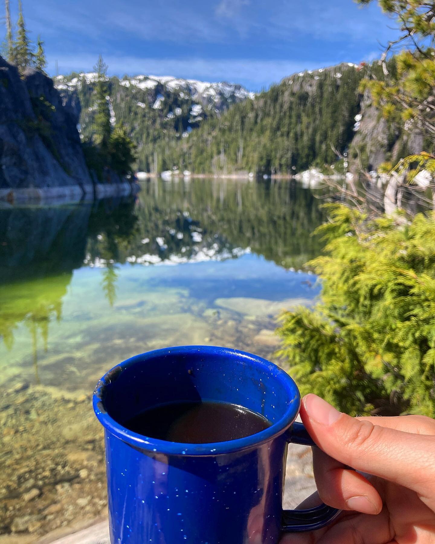 This Sunday morning&rsquo;s adaptogen based coffee view👌🏼

#adaptogens #coffee #nature #backcountry #vancouverisland #hiking #camping #getoutside
