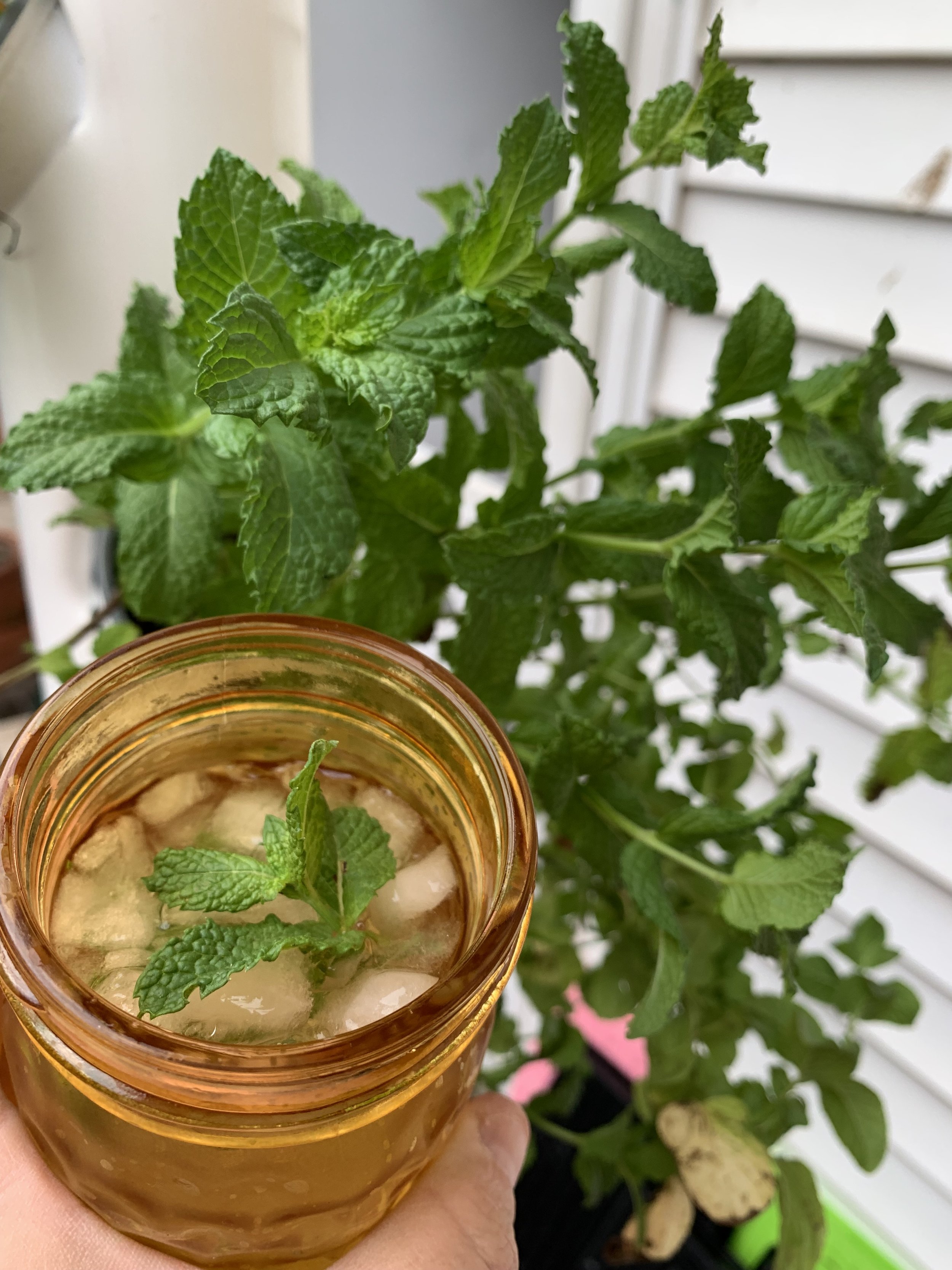 Fresh Mint - .5oz