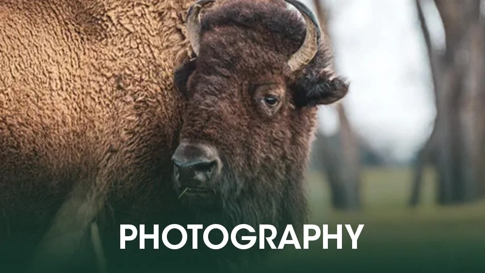 Photography.jpg