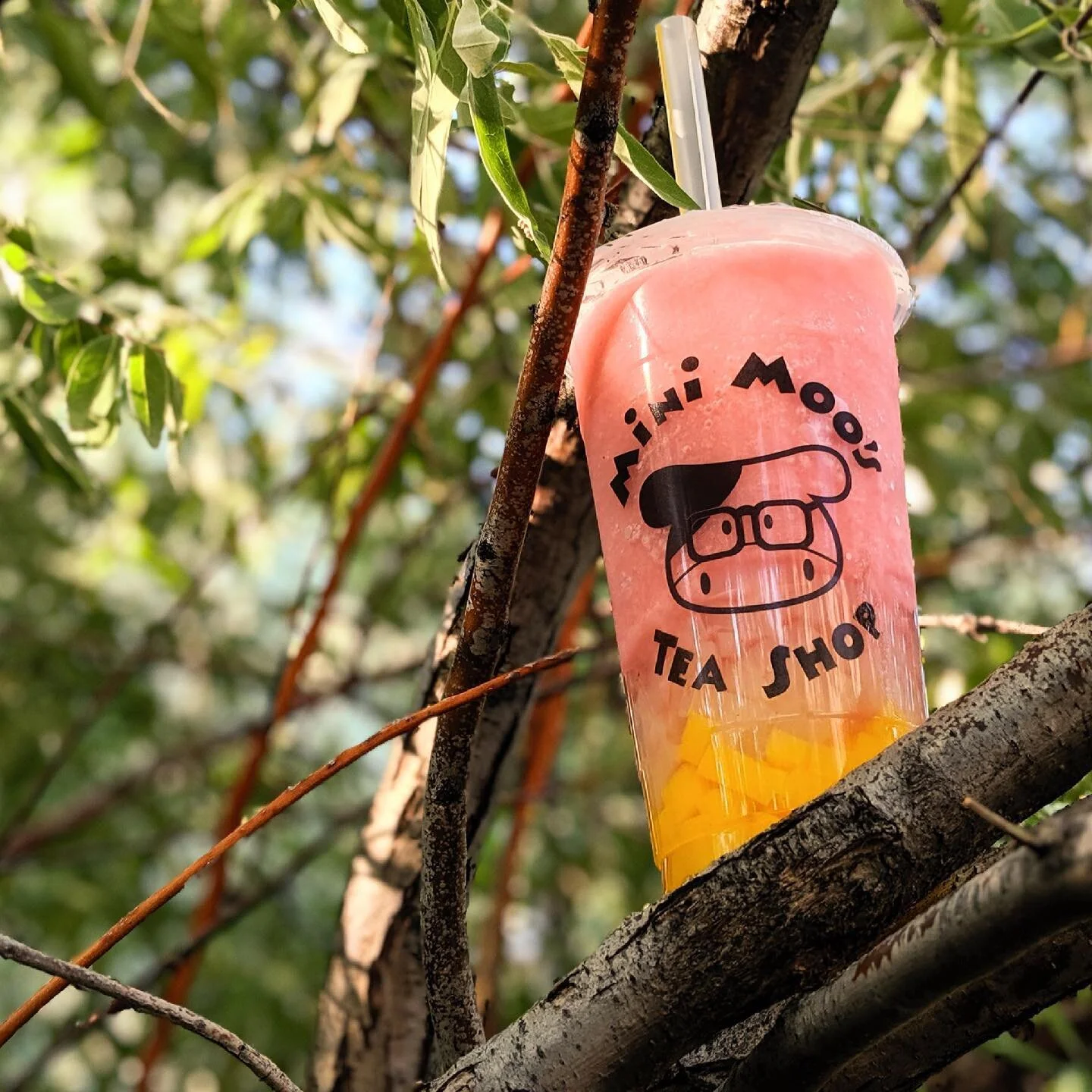 ☀️A guava slush with lychee and mango jelly was made for a warm and sunny day like today! Come by and chill your taste buds with this drink of the day!☀️ 
&bull;
&bull;
&bull;
&bull;
&bull;
&bull;
#bobameup #boba #bobatea #milehigheats #denverfoodsce