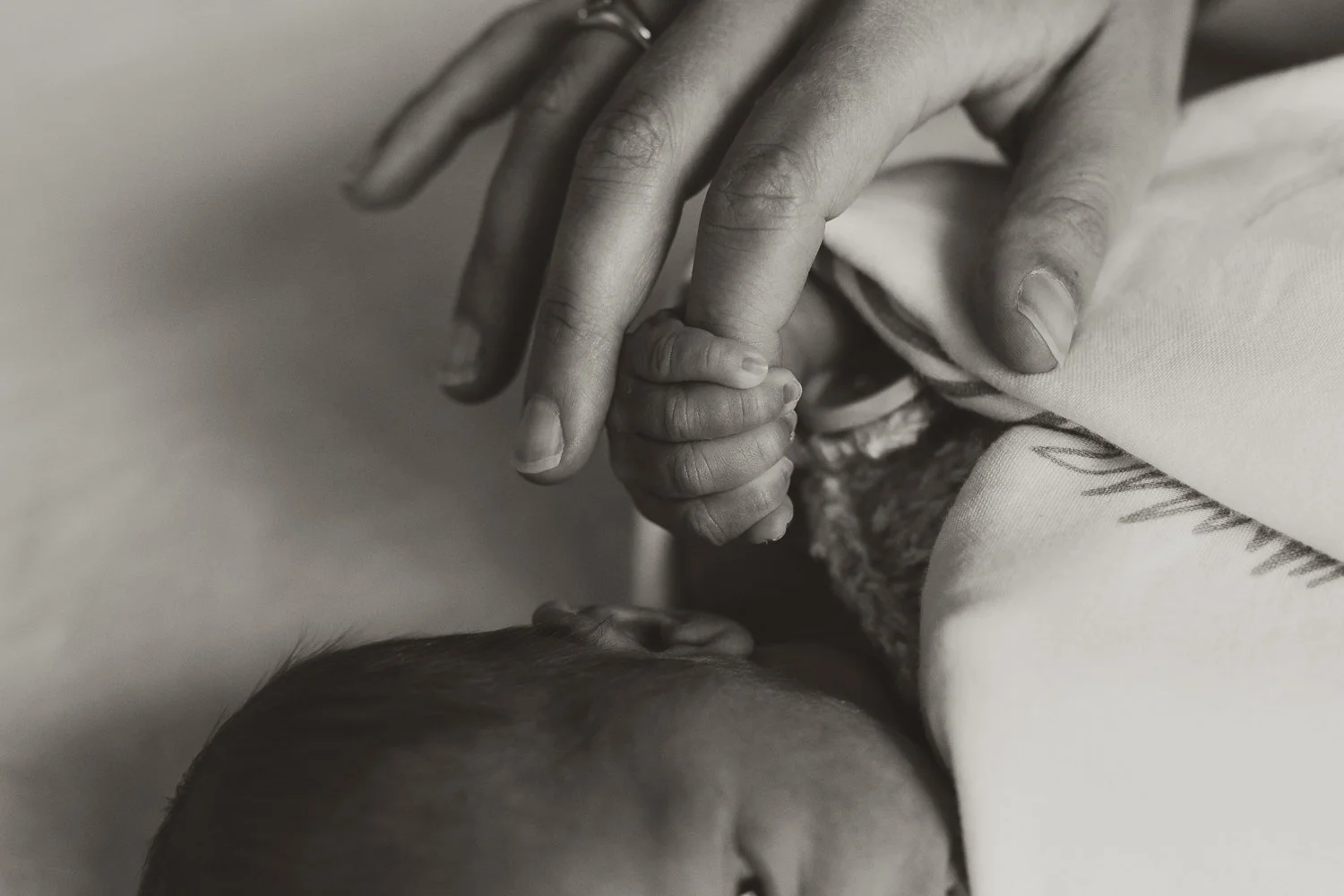 Newborn photography - photo of baby's hand holding Mum's hand in black and white during an in-home photography session