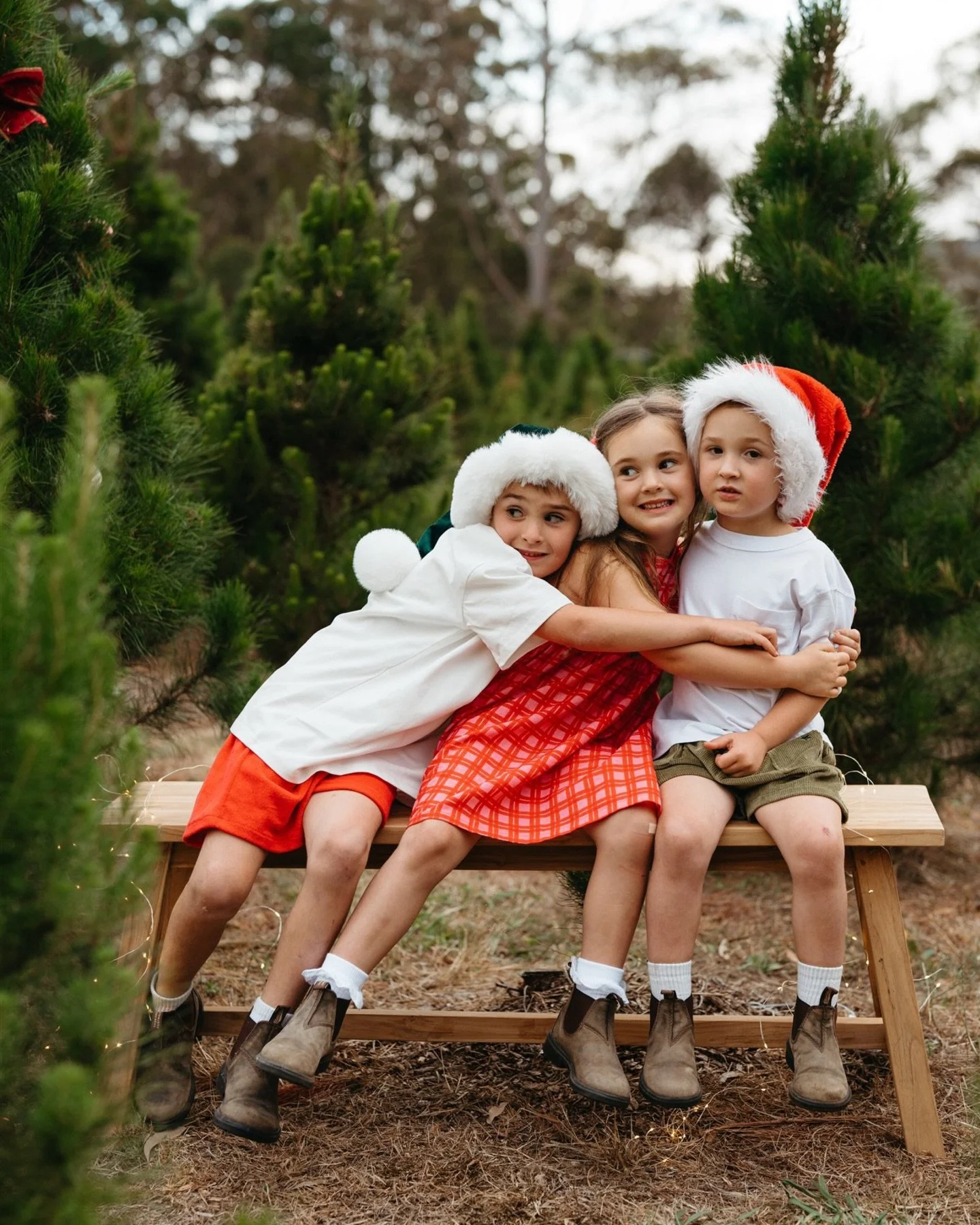 A little Christmas magic at the tree farm 🎄

Same spot each year. Growing kids. Familiar cuddles.
These sessions are fast becoming a little Christmas tradition for so many families, and I love being part of it.
Already excited to do it all again nex