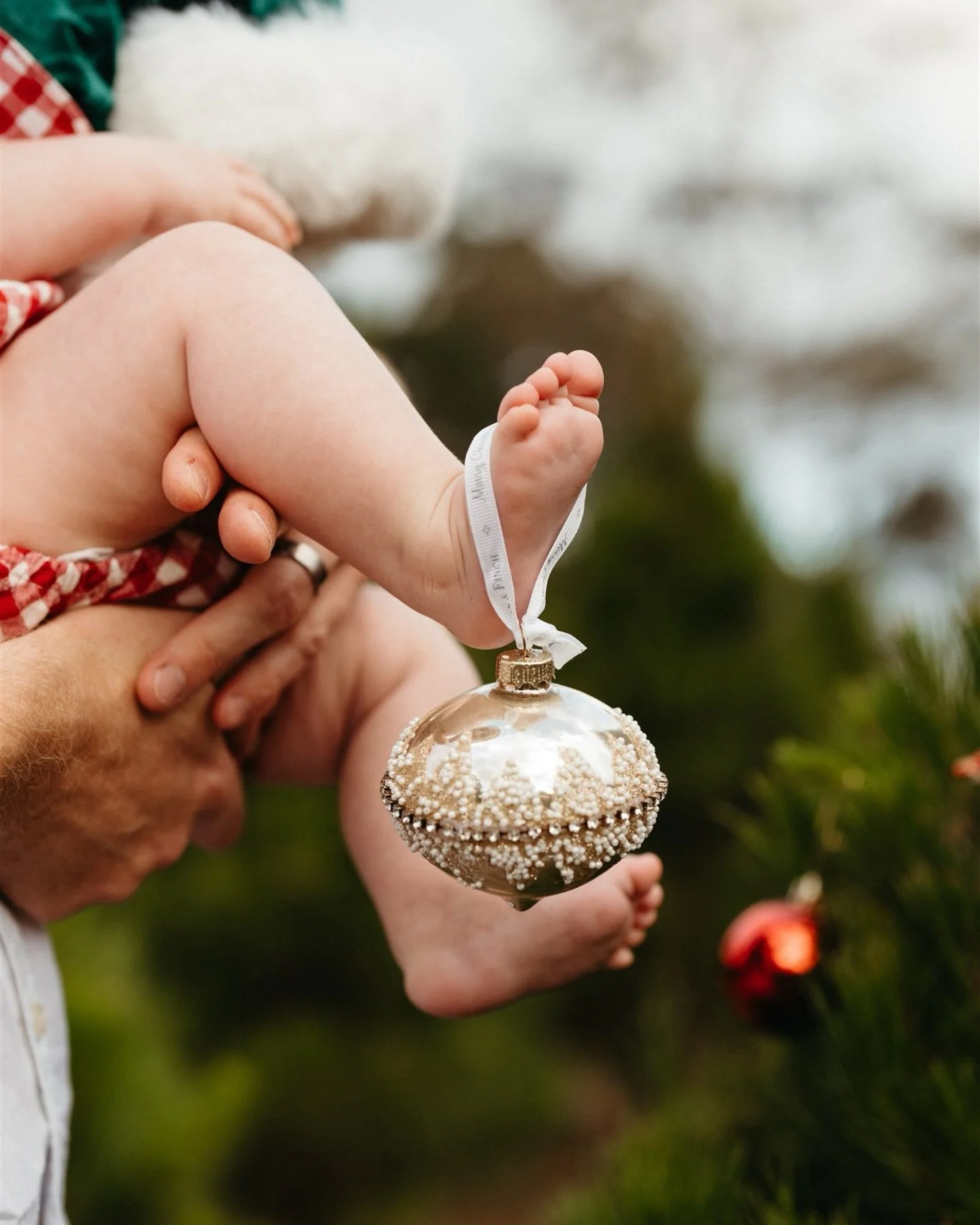 A little Christmas magic to brighten your day 🎄 

From this year&rsquo;s Mini Sessions 😍