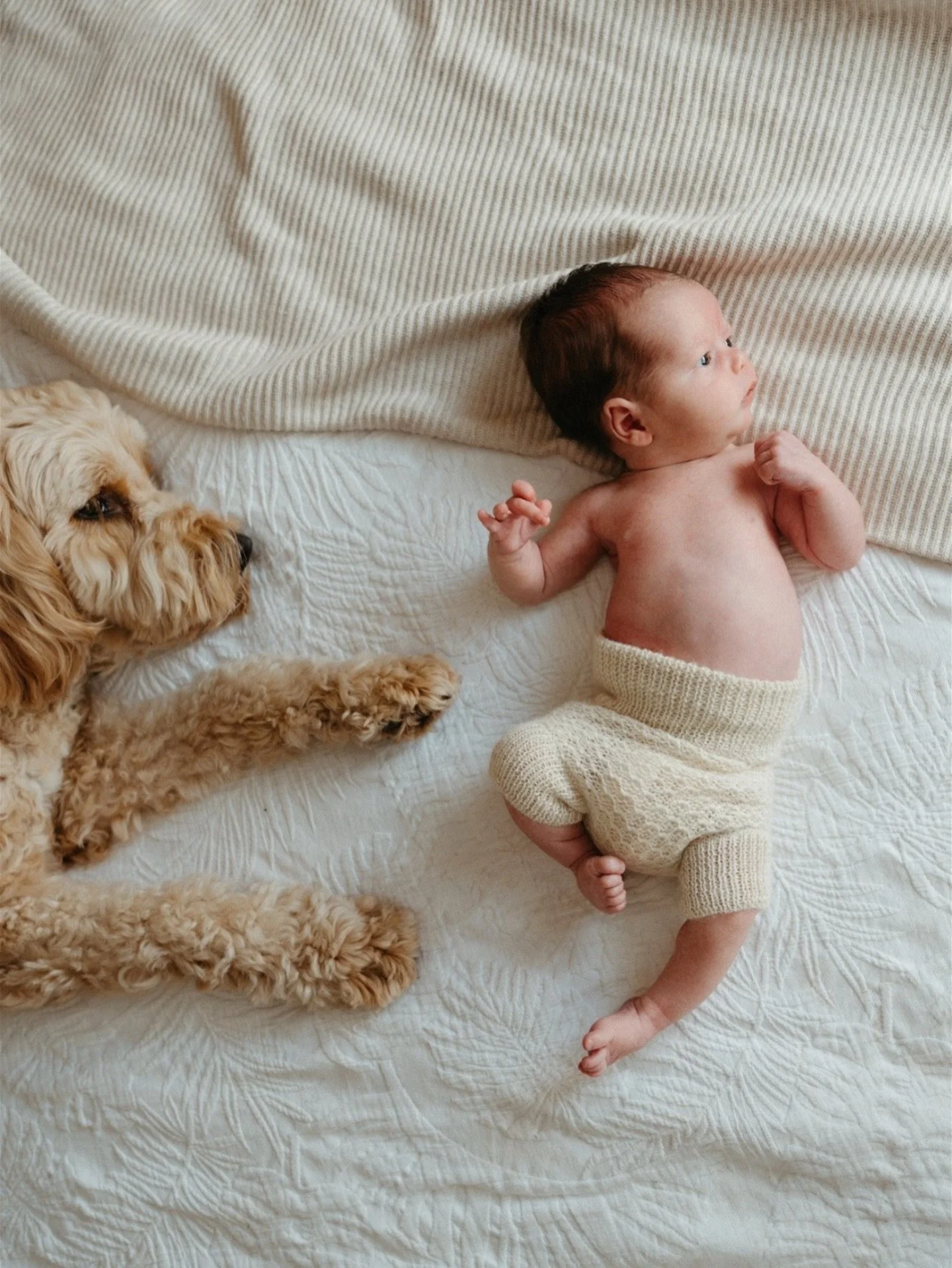 Got a little one joining your fam in 2026?
Let&rsquo;s capture the very beginning at home!
Fur babies included 🐶