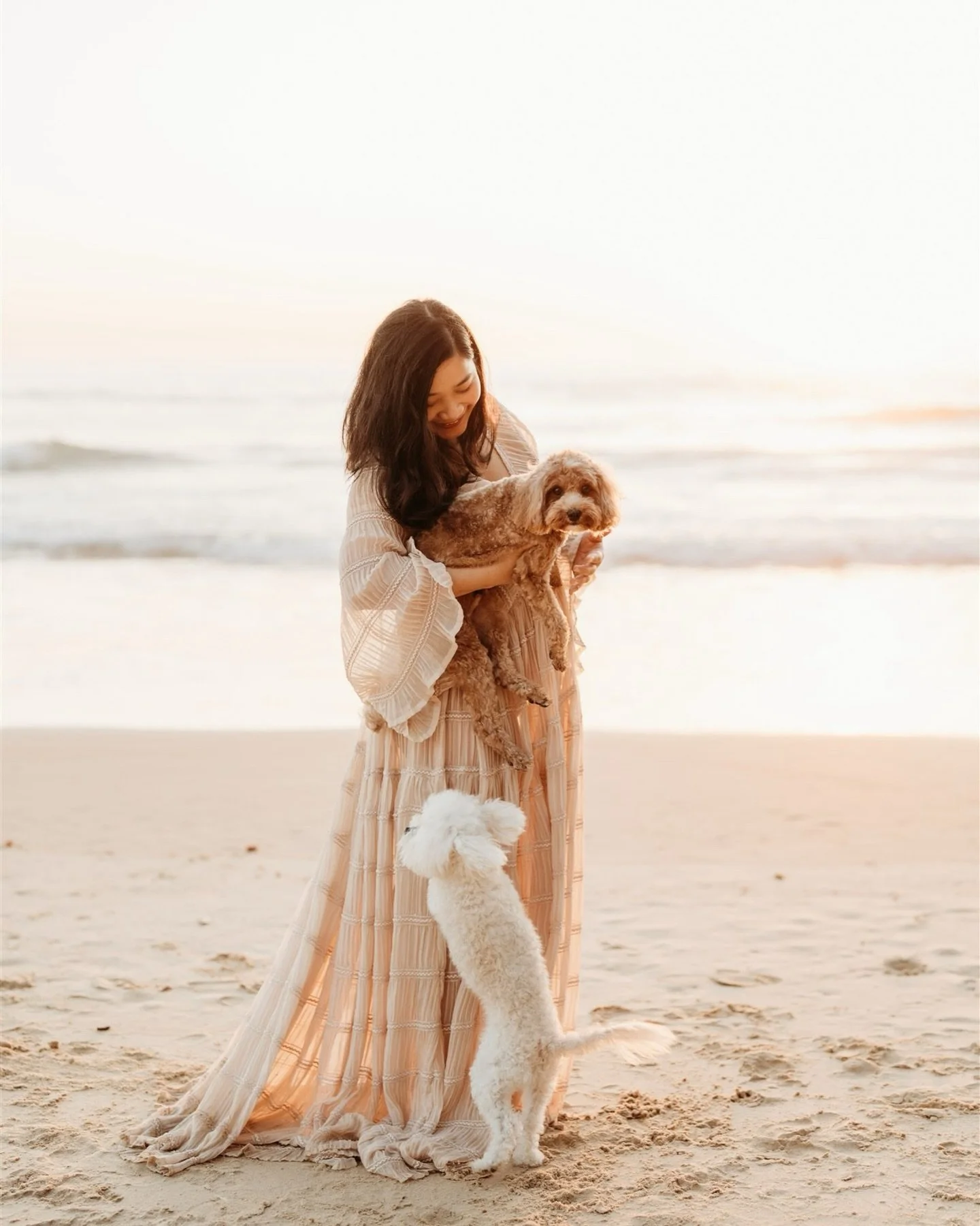 Soft light. Sandy paws. 
Just soaking it all in before their world grows a little bigger💫

If you&rsquo;re expecting and dreaming of something relaxed and natural, I&rsquo;d love to chat about a maternity session with you. 
Feel free to DM me or cli