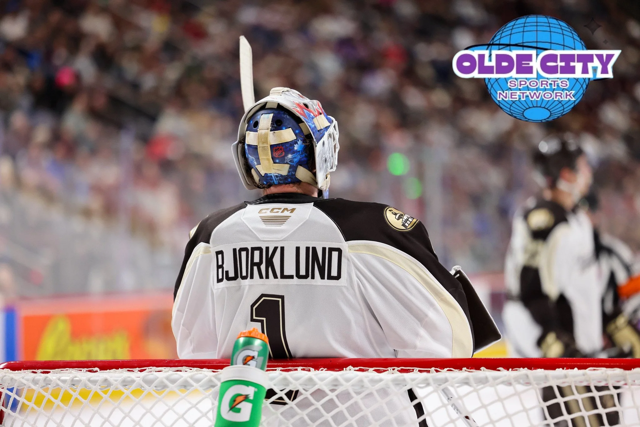 Hershey Bears Recap-12/31