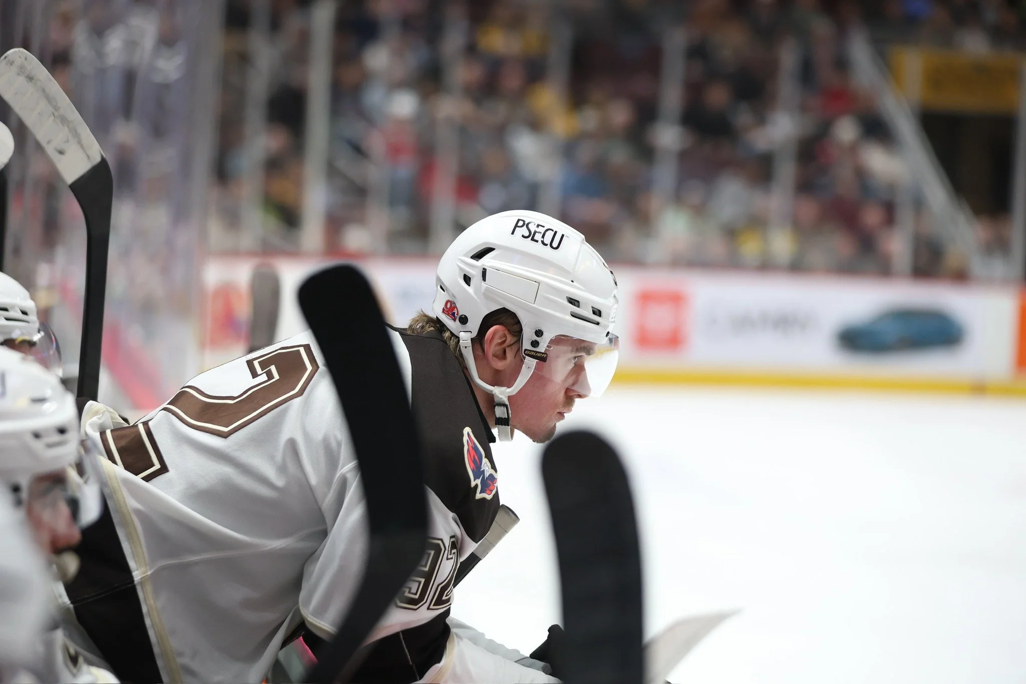 Bears Recap: 1/20-1/27