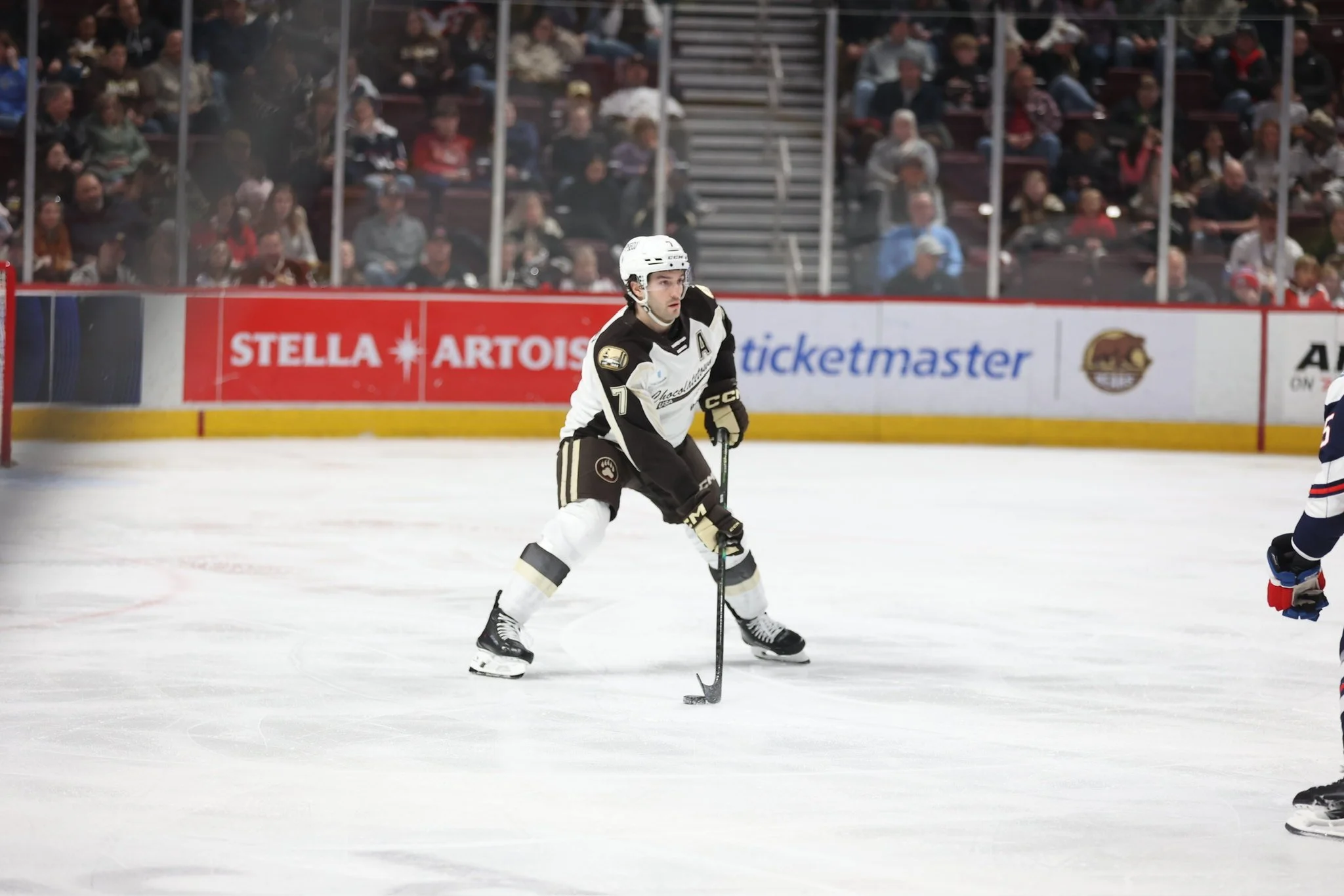 Bears Split Weekend in Upstate New York