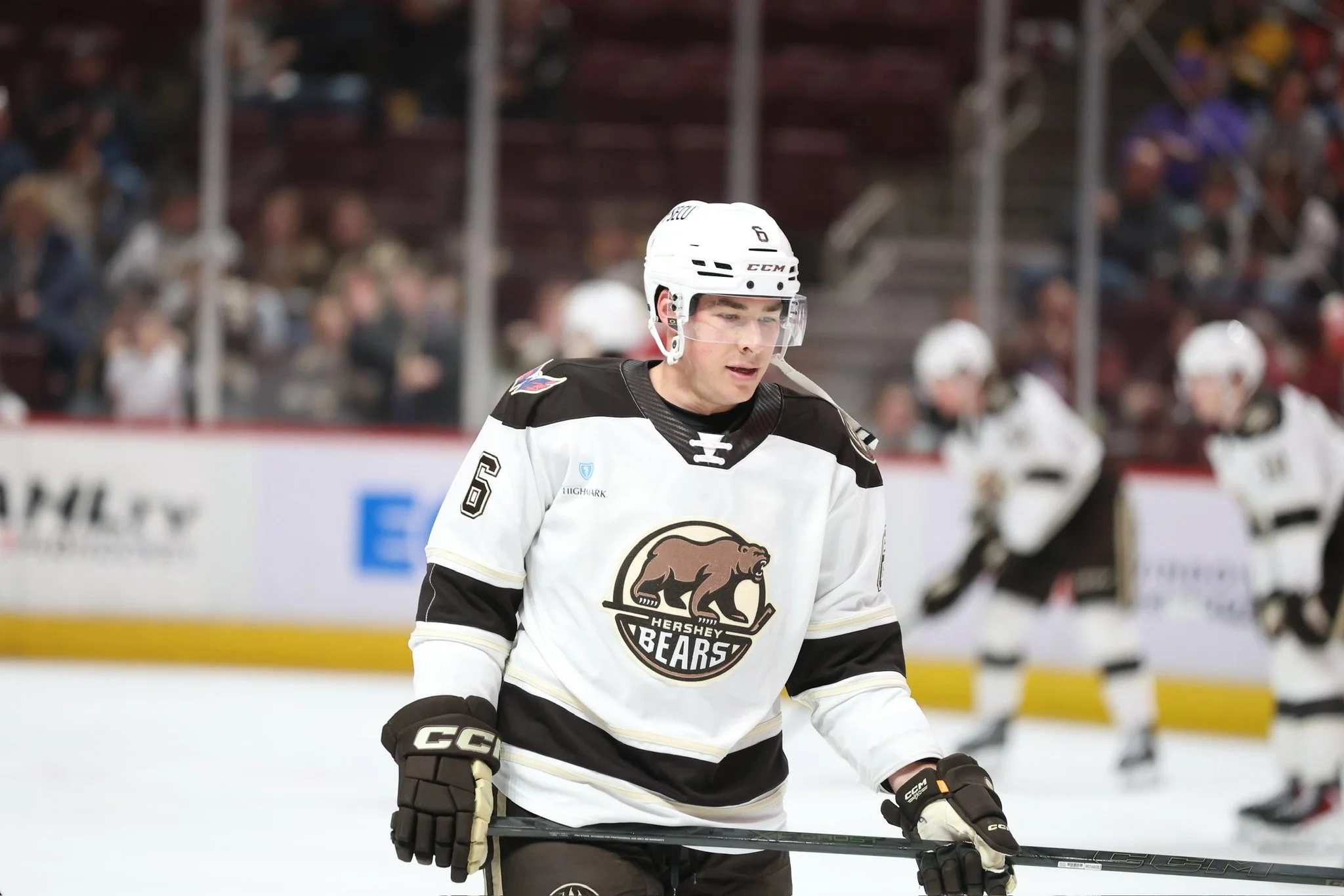 Bears Recap for 2/10