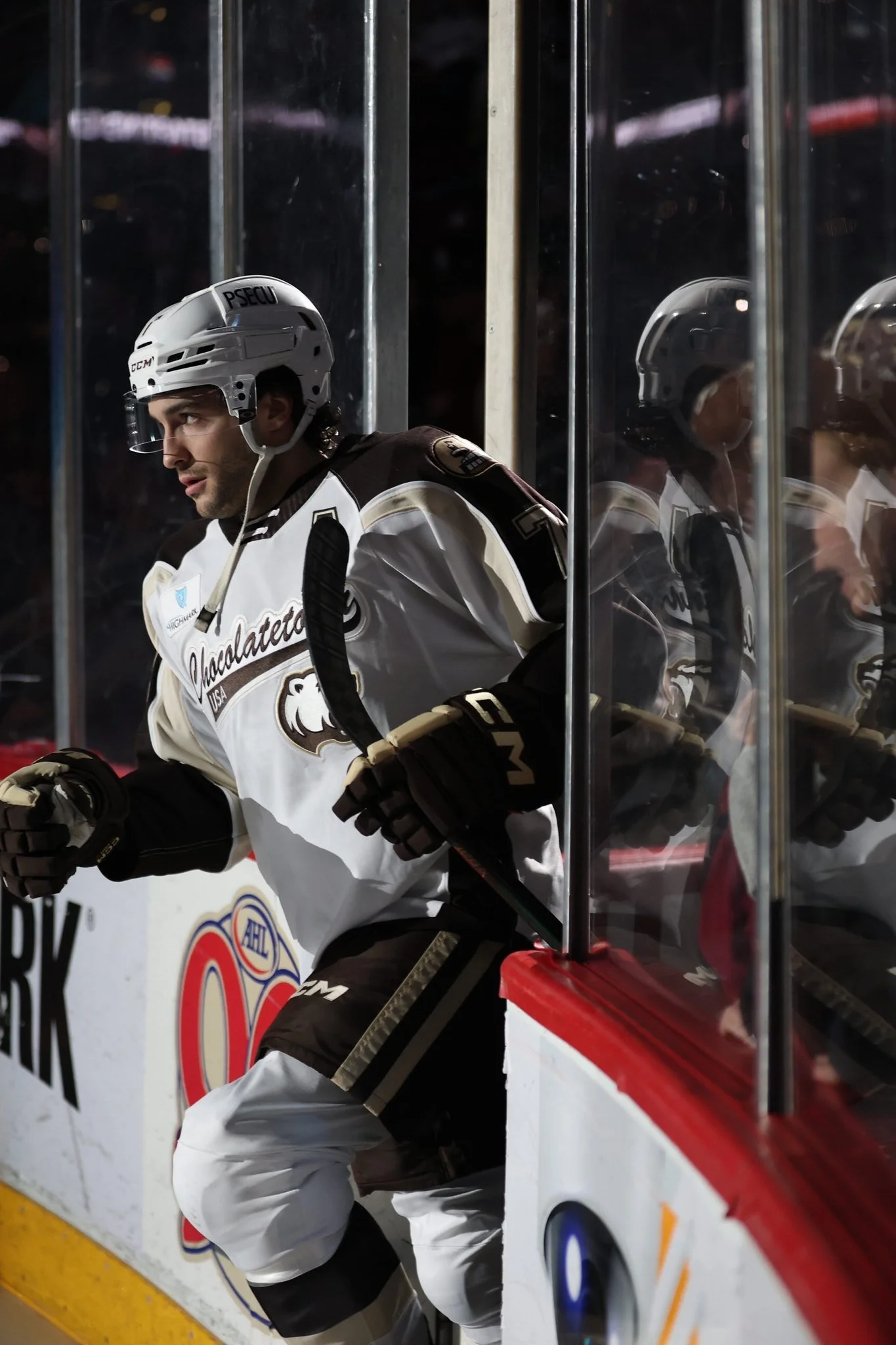Hershey Bears Recap 2/24
