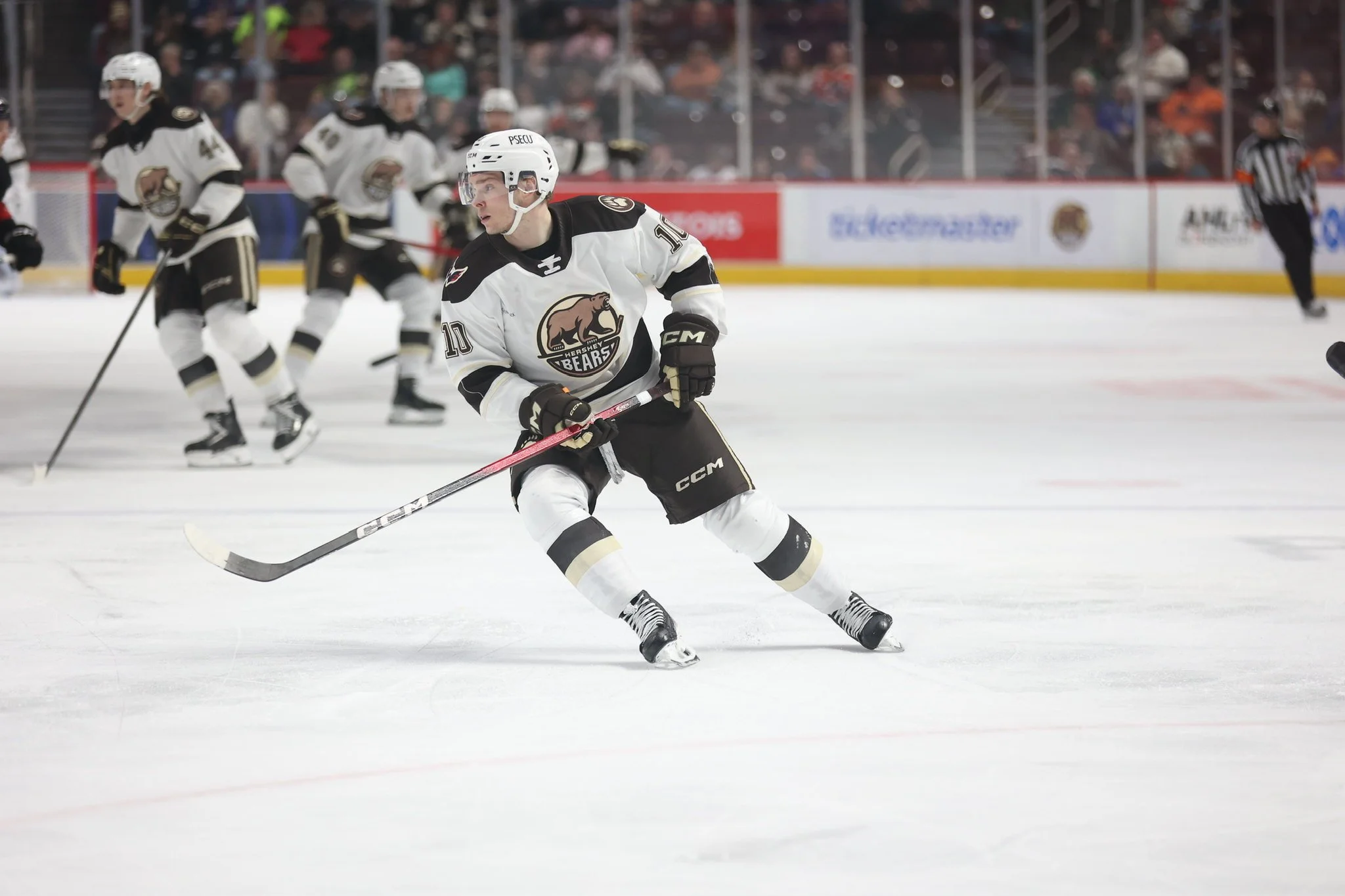 Hershey Bears Recap: Week of 3/2