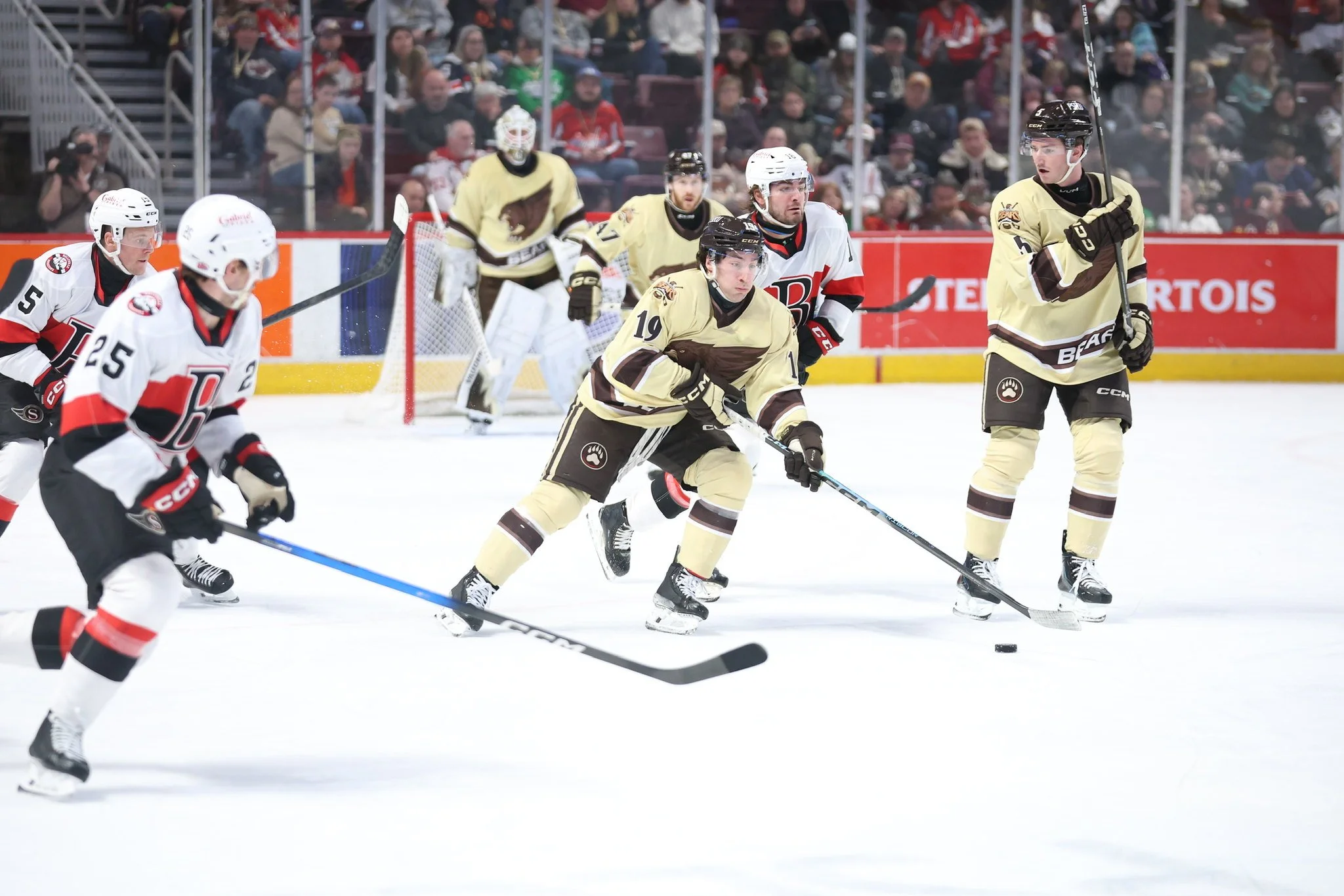 Hershey Bears Recap 3/17