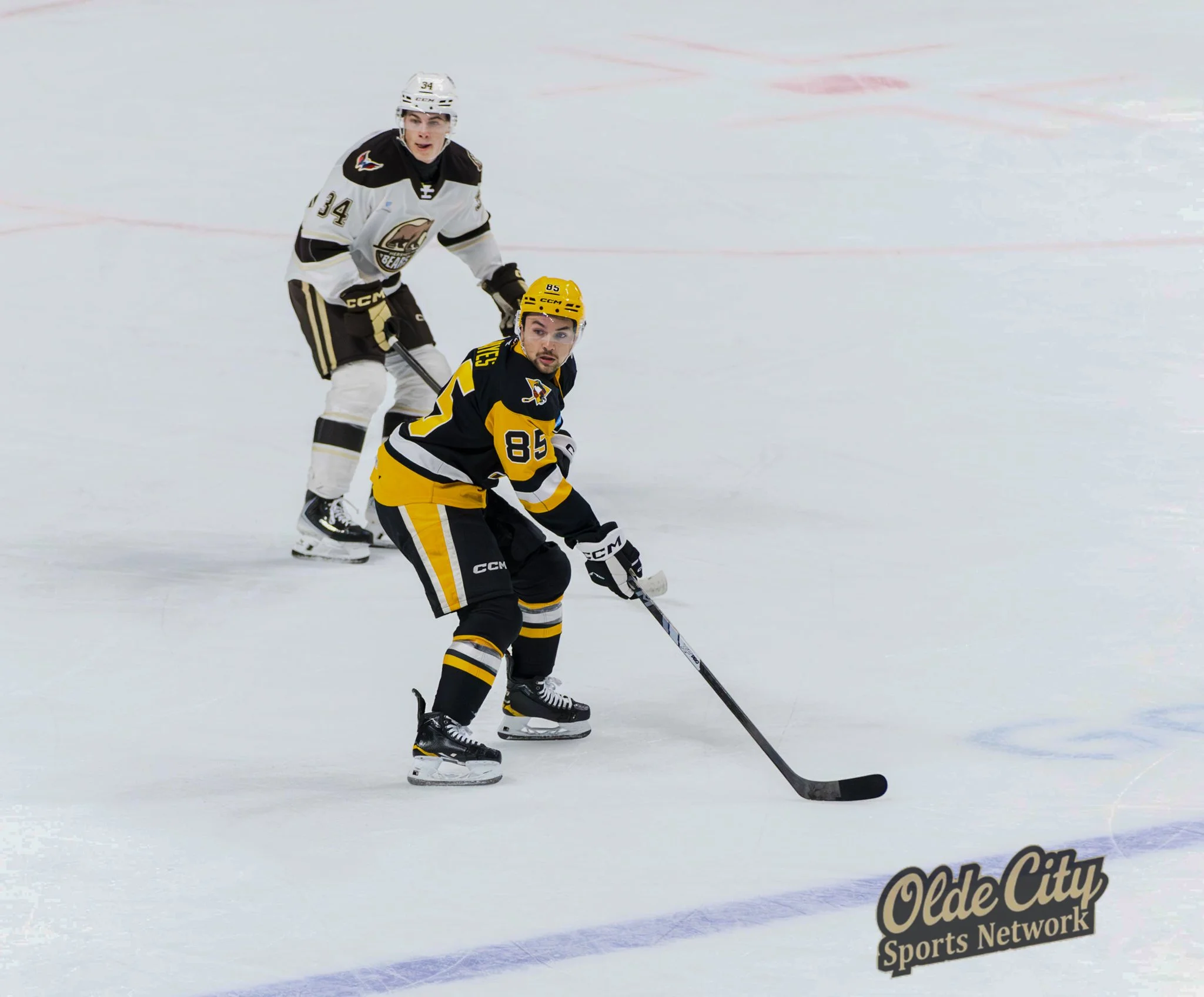 2026 Calder Cup Playoffs: Atlantic Division Semi-finals Game 4