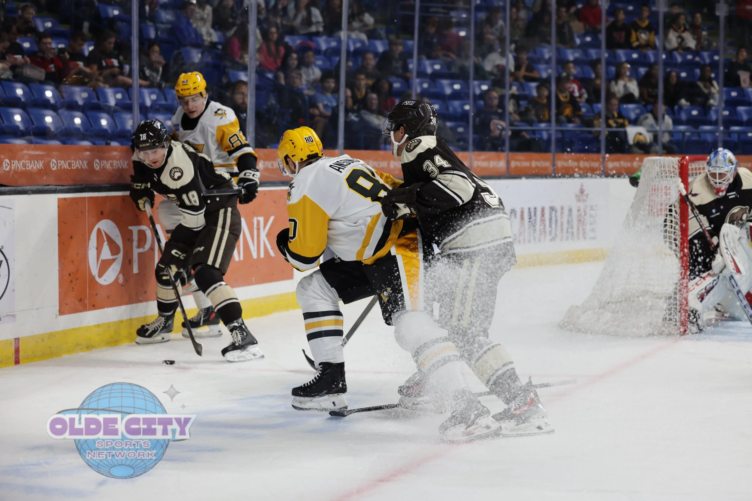 hershey-bears-vs-wilkes-barre-scranton-penguins-1032025_54832690026_o.jpg