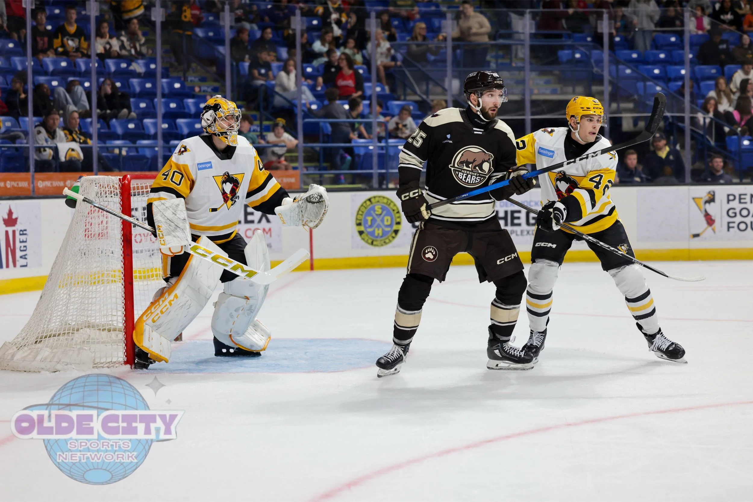 hershey-bears-vs-wilkes-barre-scranton-penguins-1032025_54832926924_o.jpg