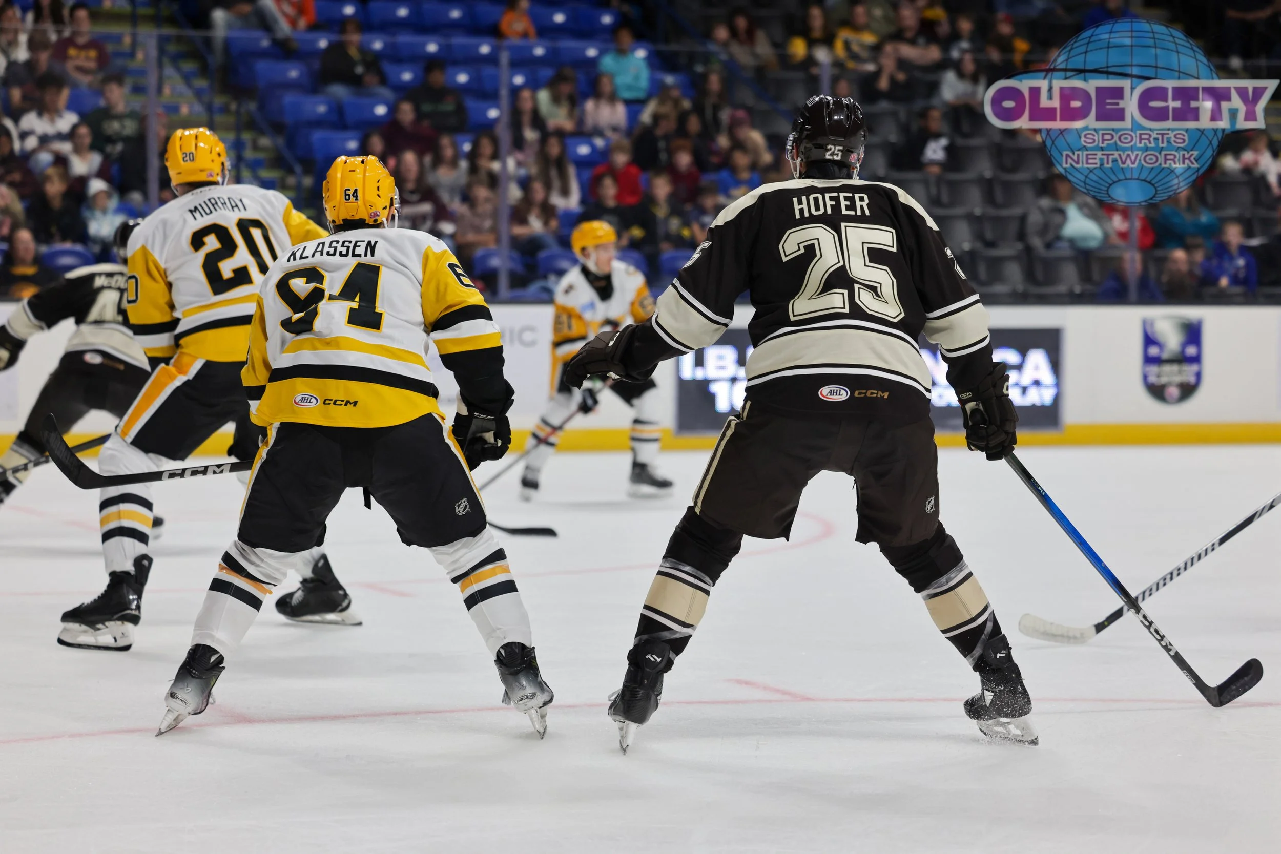 hershey-bears-vs-wilkes-barre-scranton-penguins-1032025_54832690036_o.jpg