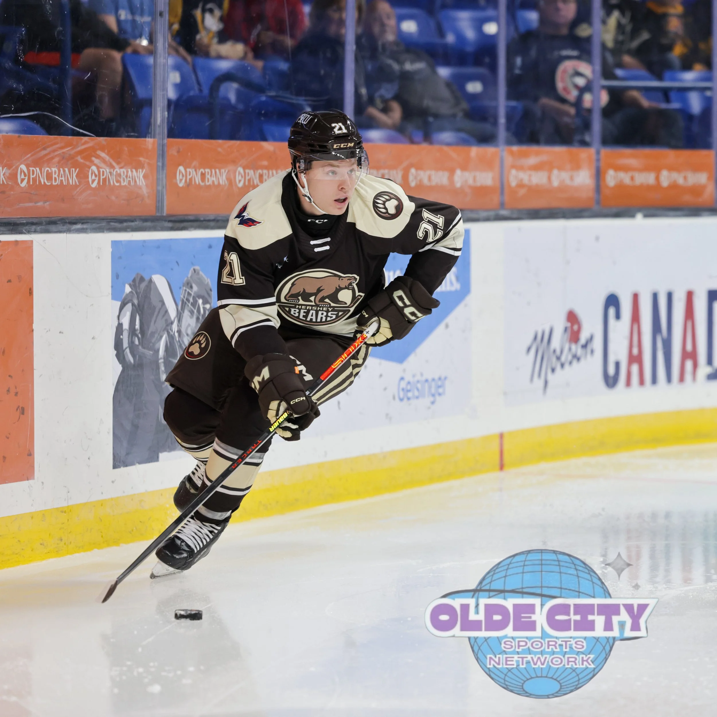 hershey-bears-vs-wilkes-barre-scranton-penguins-1032025_54832940368_o.jpg