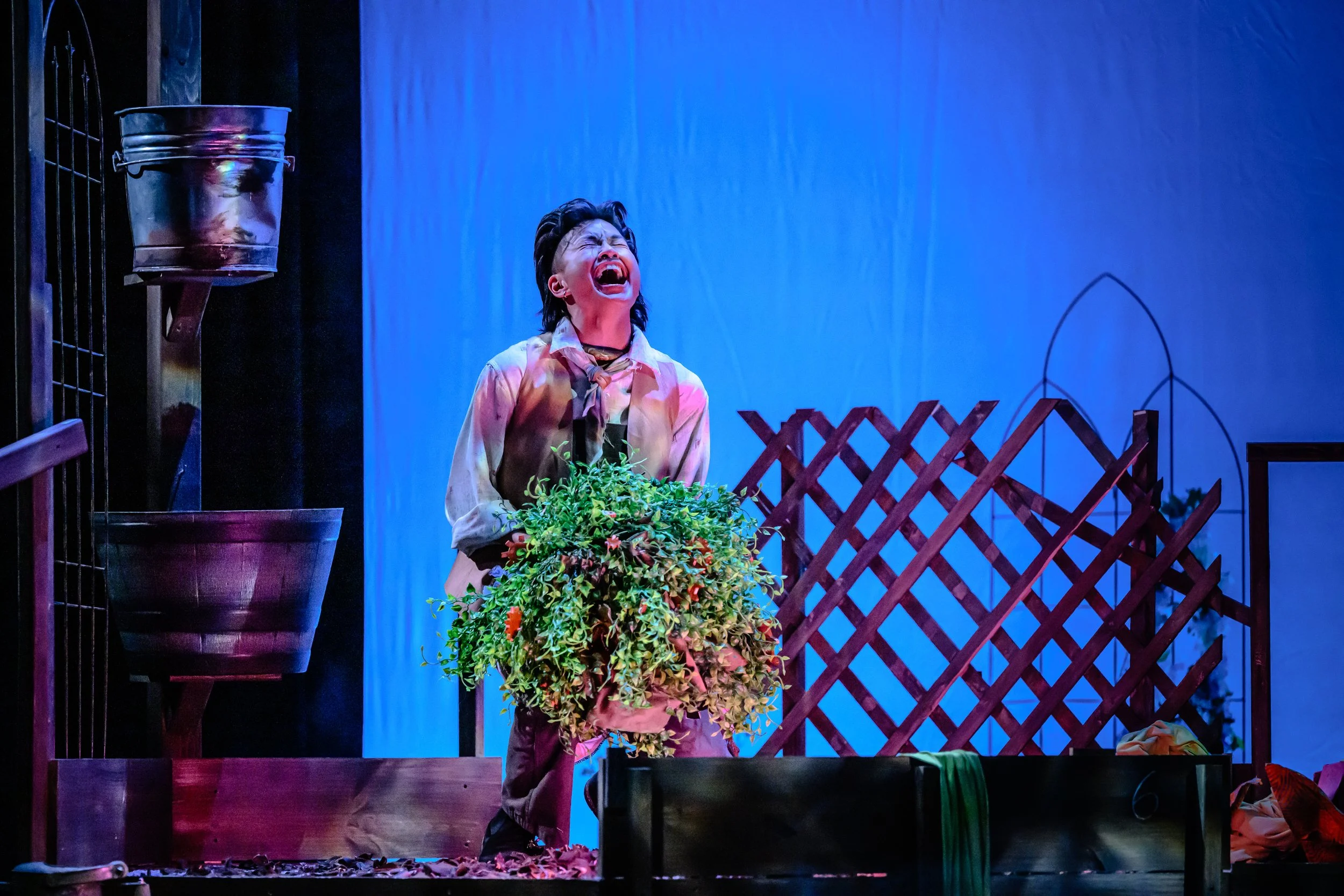 FIFTY BOXES OF EARTH