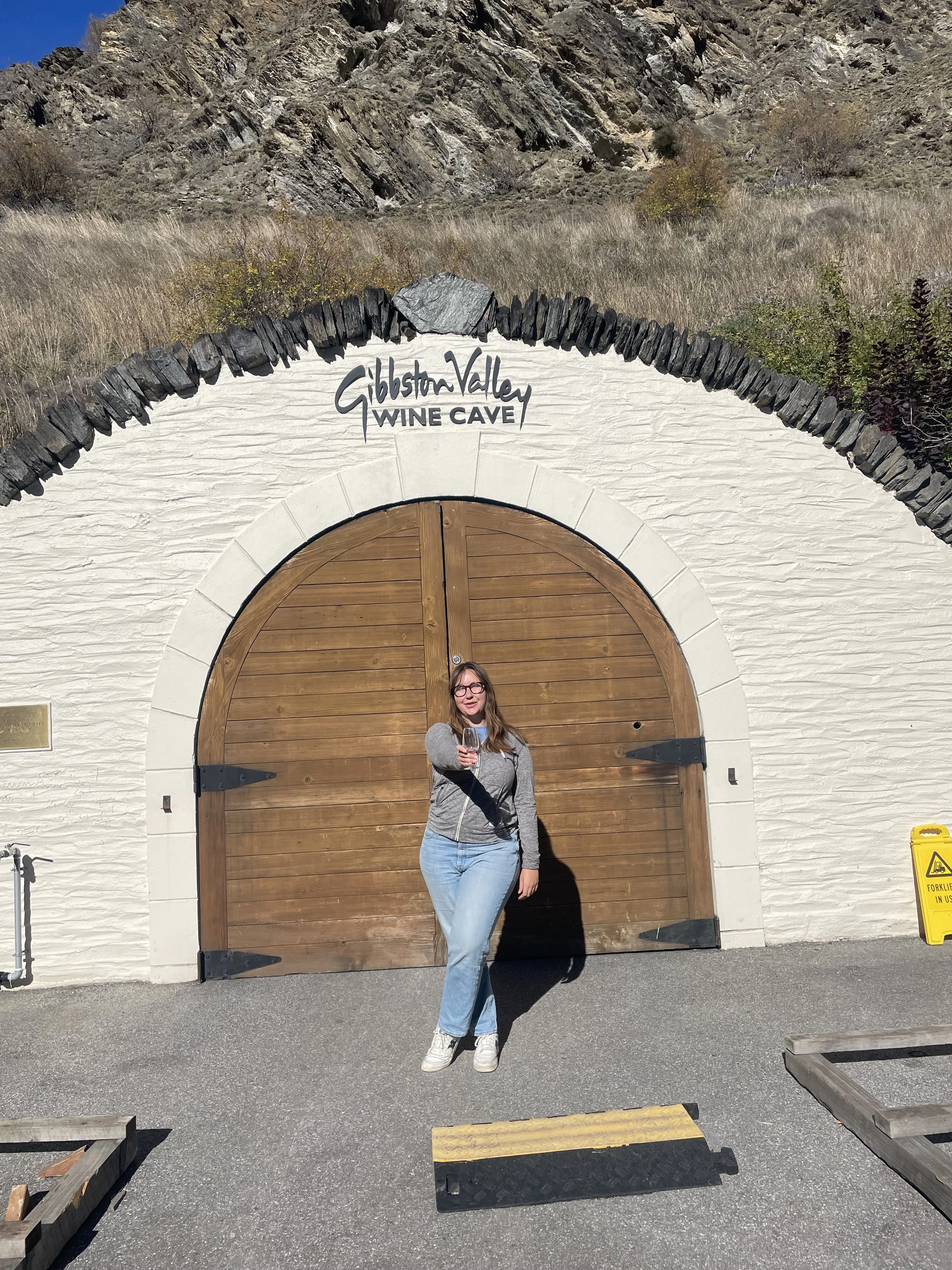 Wine Tour in Queenstown