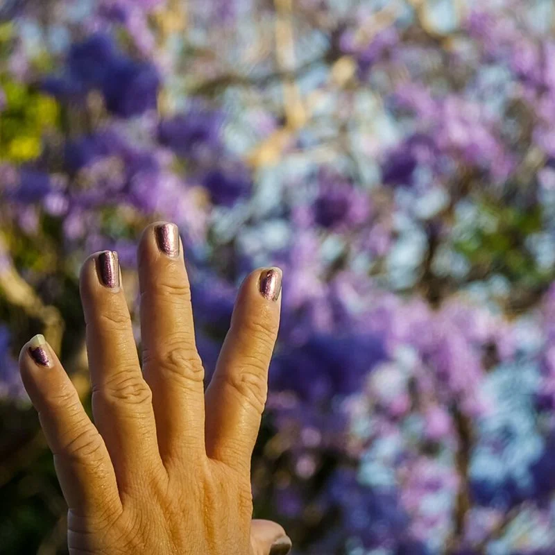 My Kaathii Sister – by Julie Janson