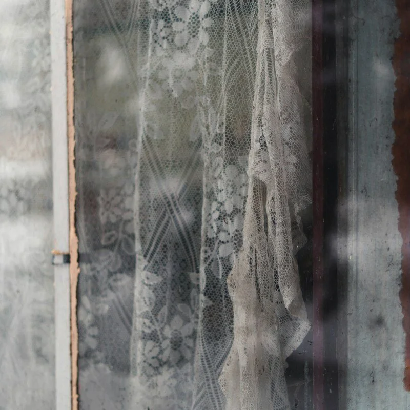 The moss garden method – by Gina Ward