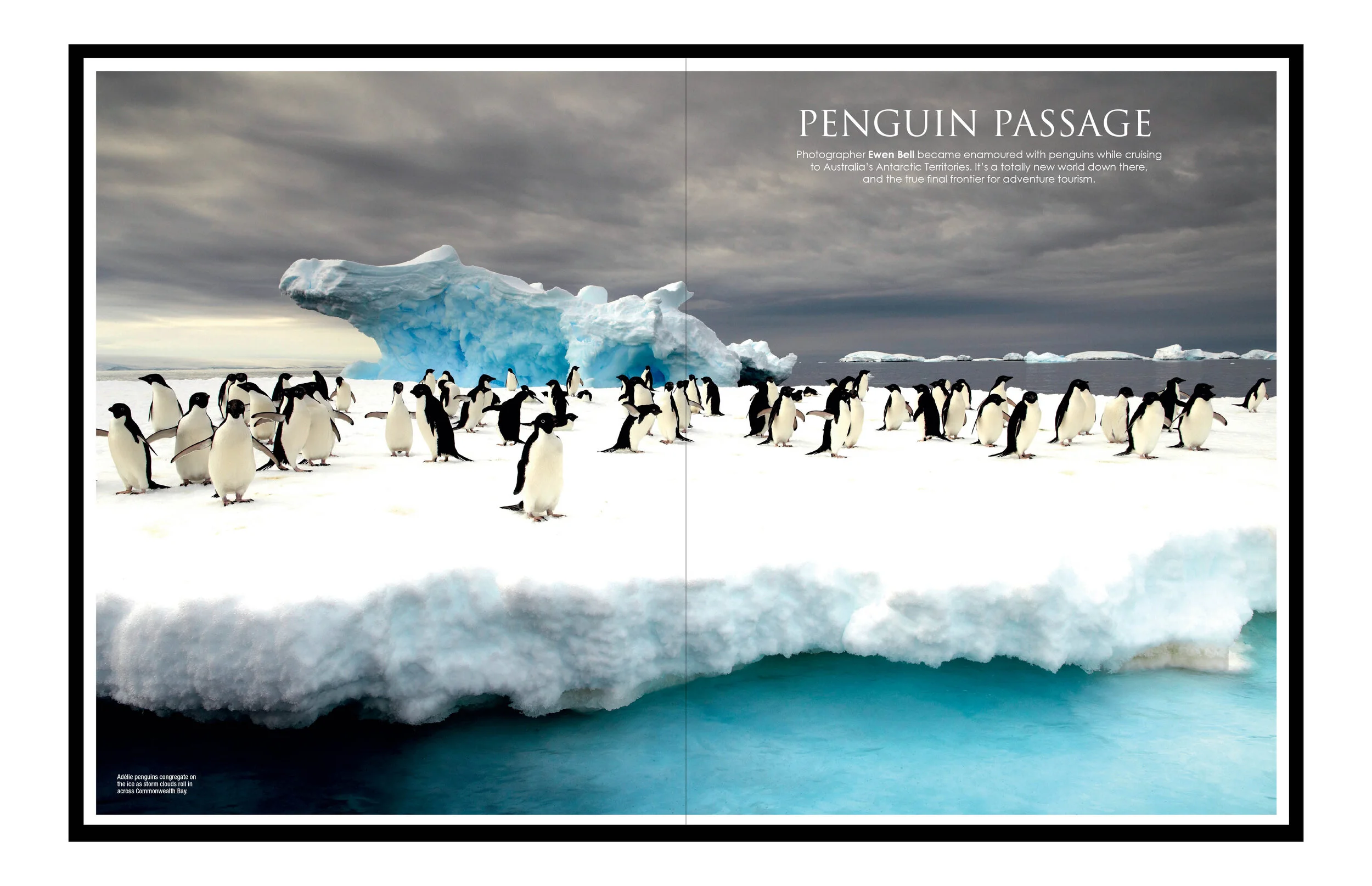 AT website folio items.jpg