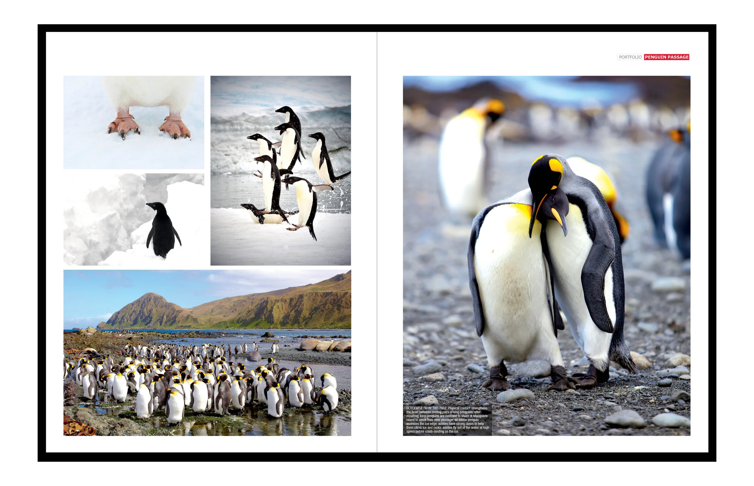 AT website folio items3.jpg