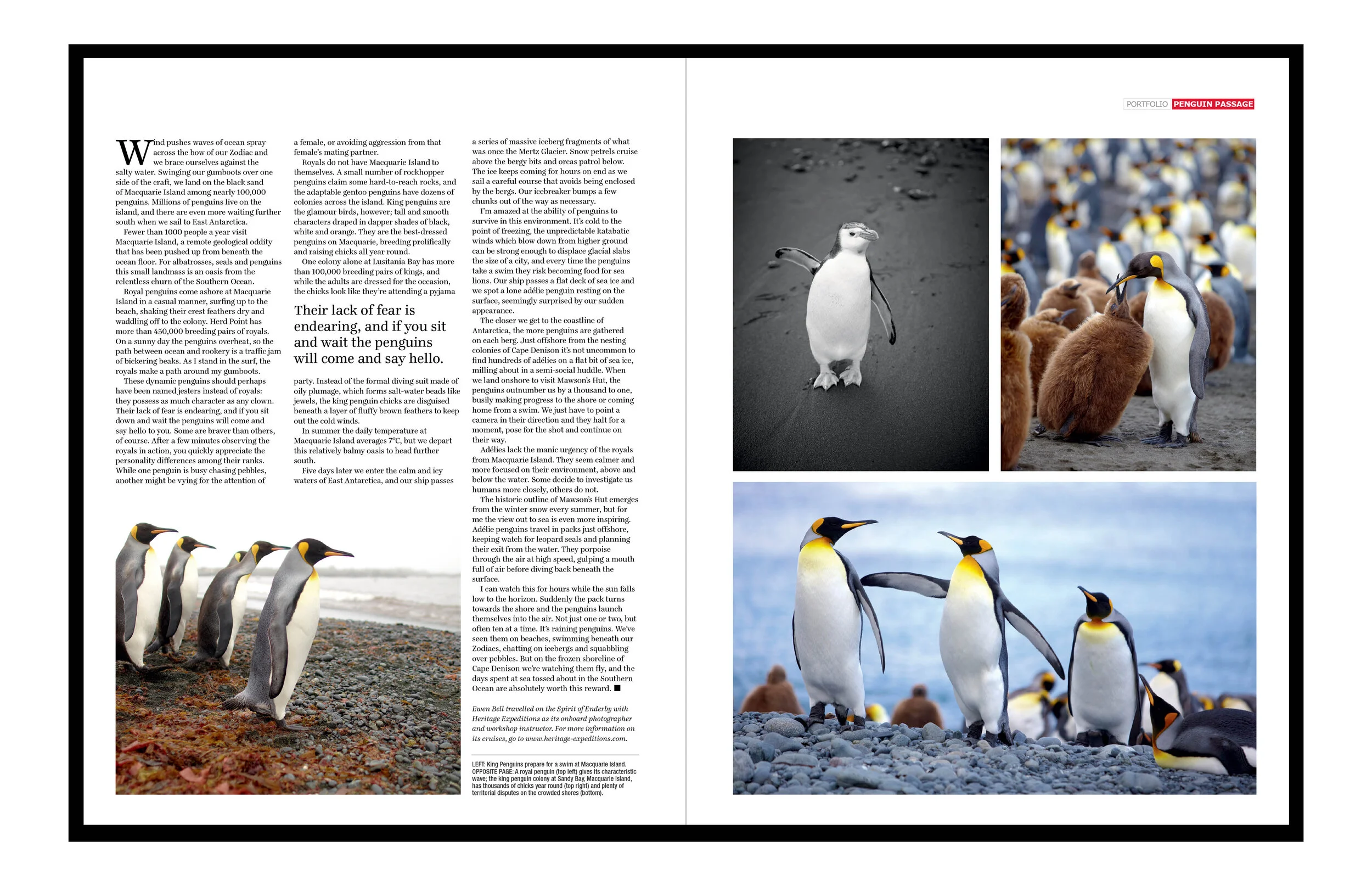 AT website folio items2.jpg